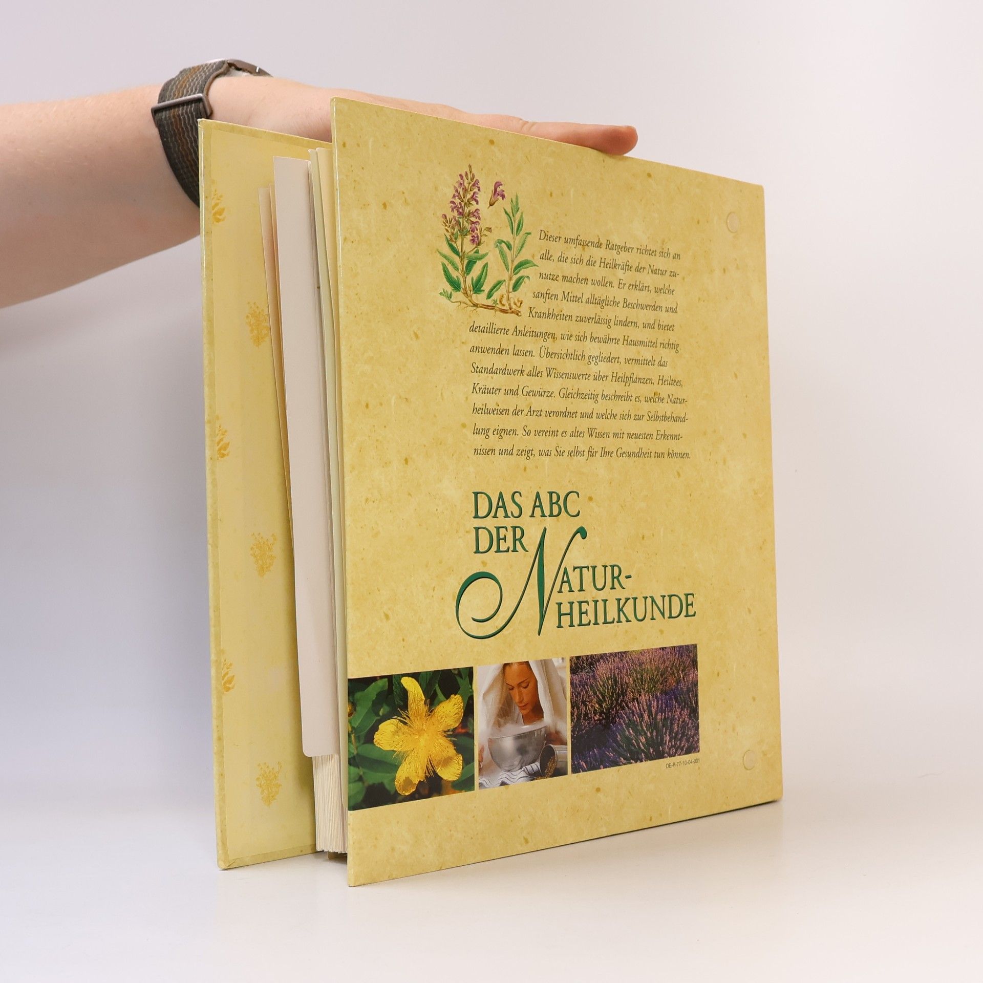Autorenkollektiv Das ABC der Naturheilkunde 6. Gruppe 10-13