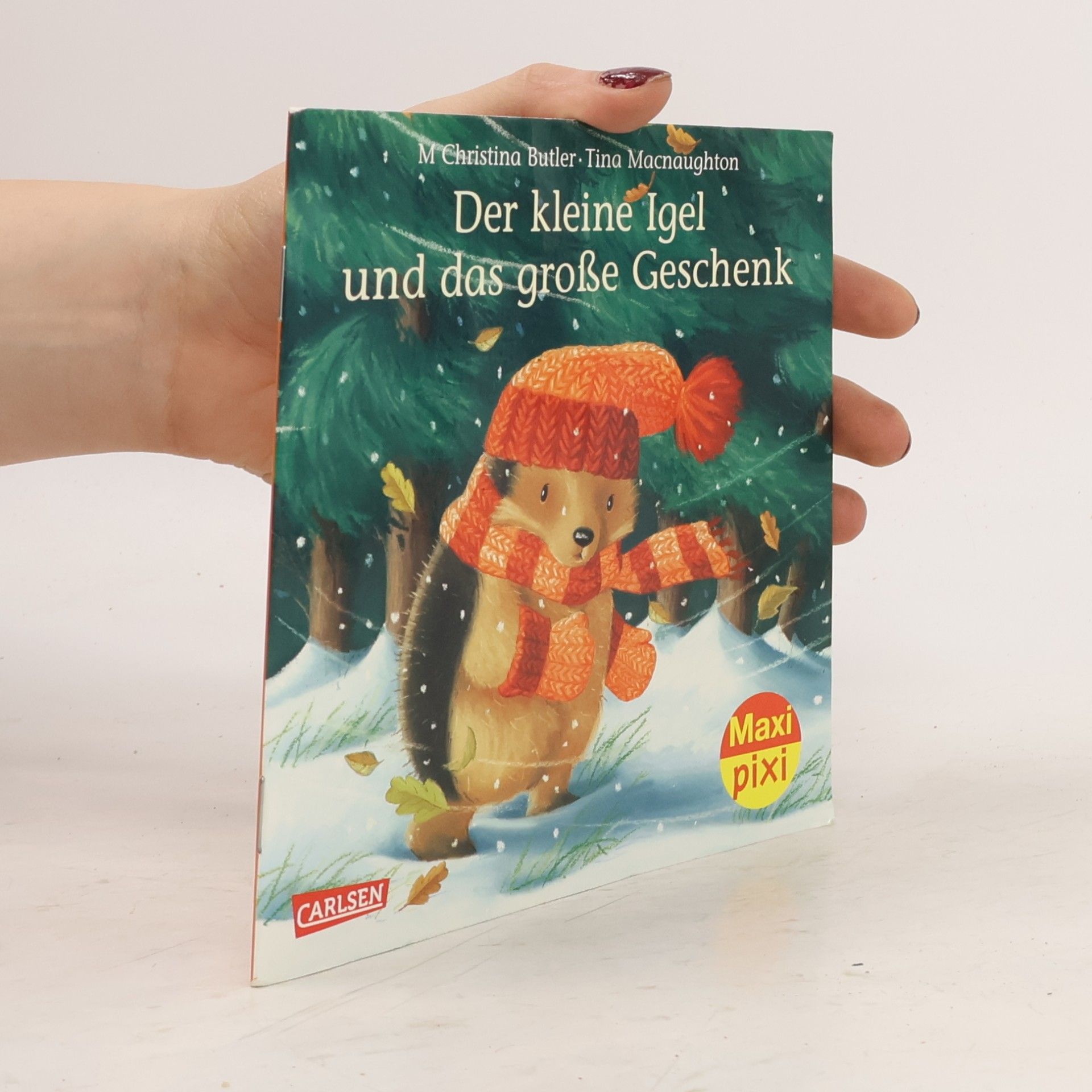 Der kleine Igel und das große Geschenk