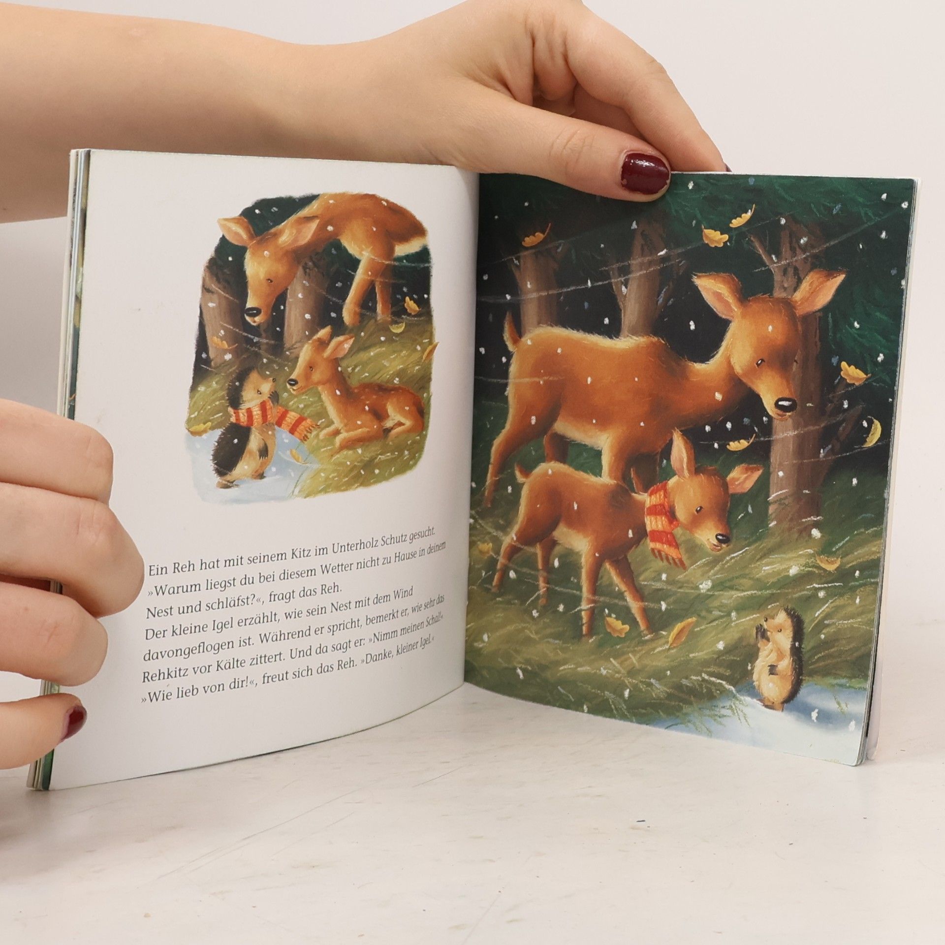 Christina M. Butler Der kleine Igel und das große Geschenk