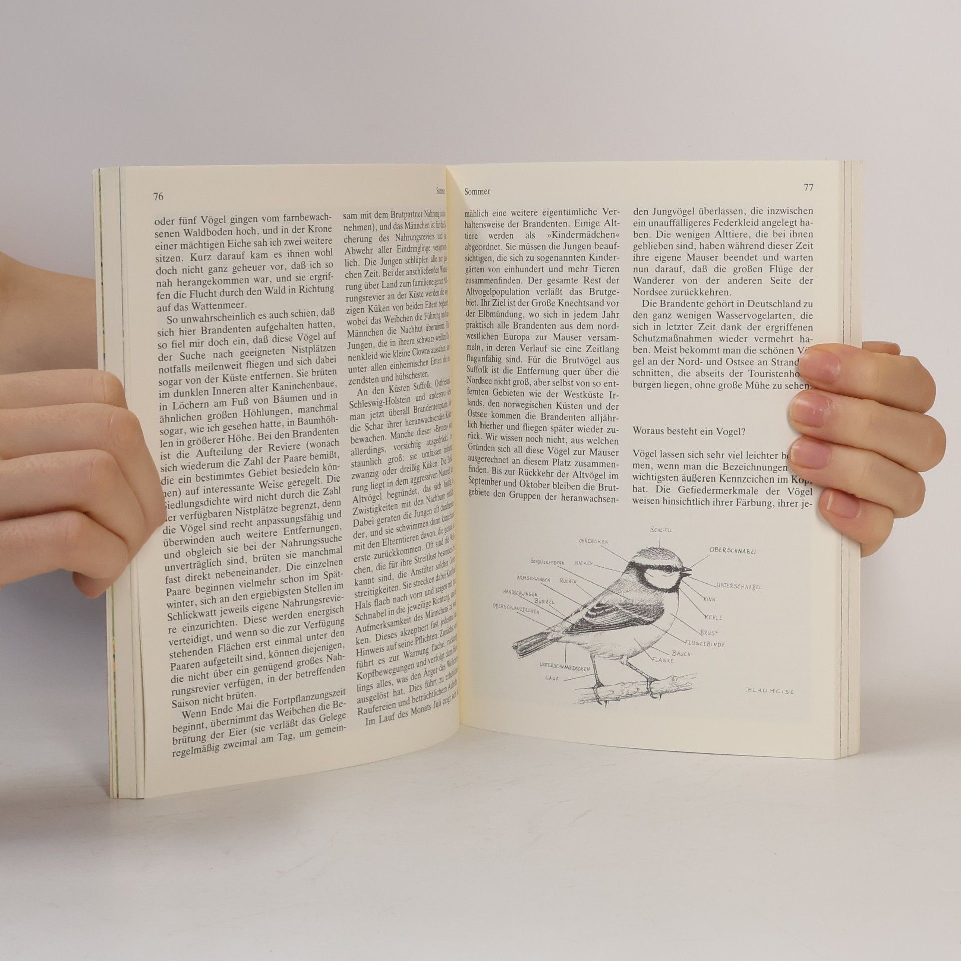 Roger Lovegrove Folg ich der Vögel wundervollen Flügen