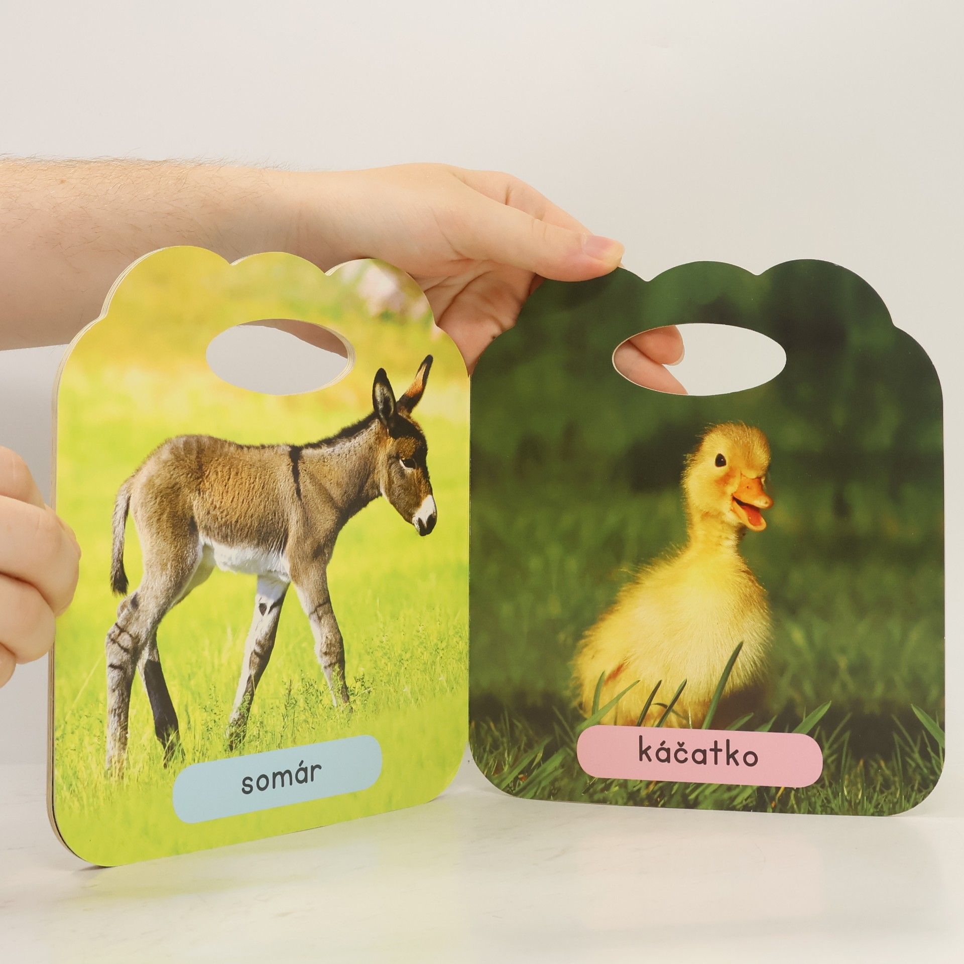 Autorenkollektiv Moji zvierací kamaráti Farma