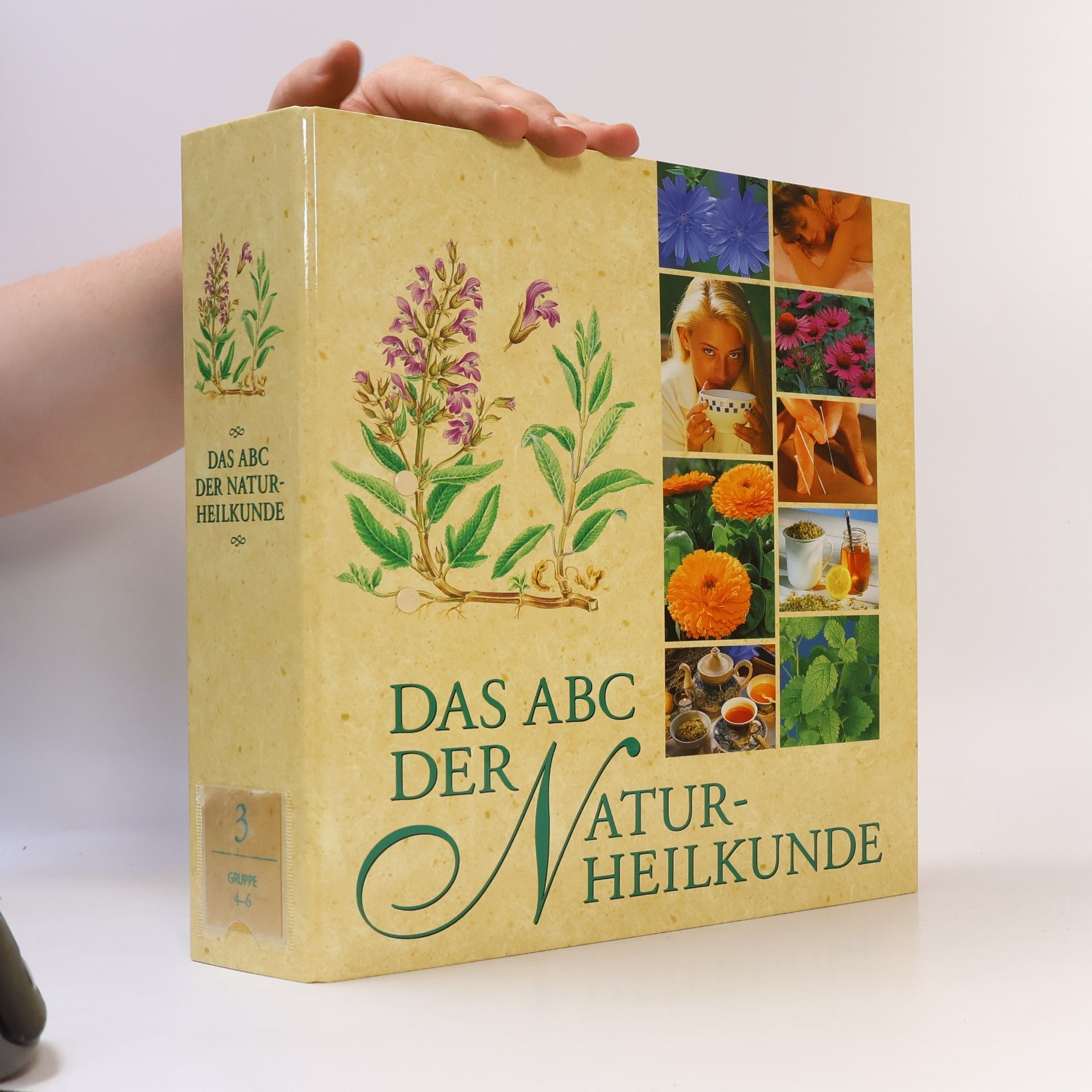 Collectif d'auteurs Das ABC der Naturheilkunde 3
