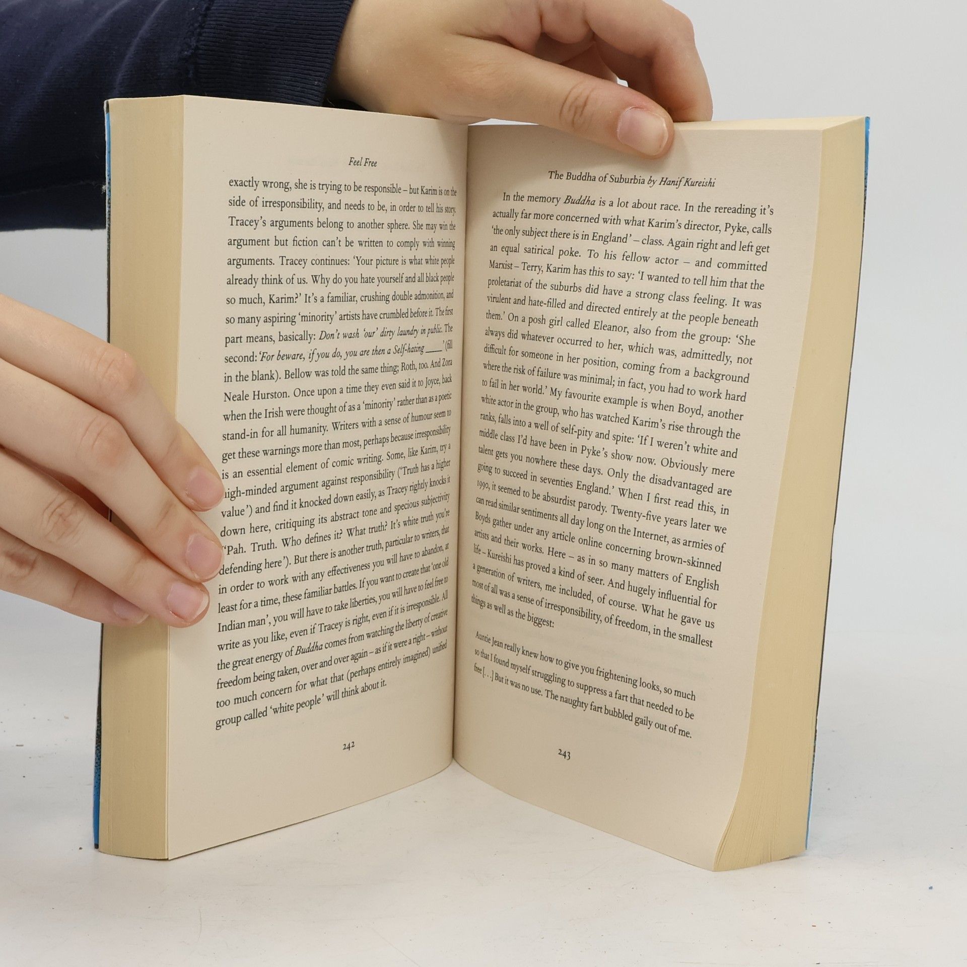Zadie Smith Feel Free : essays