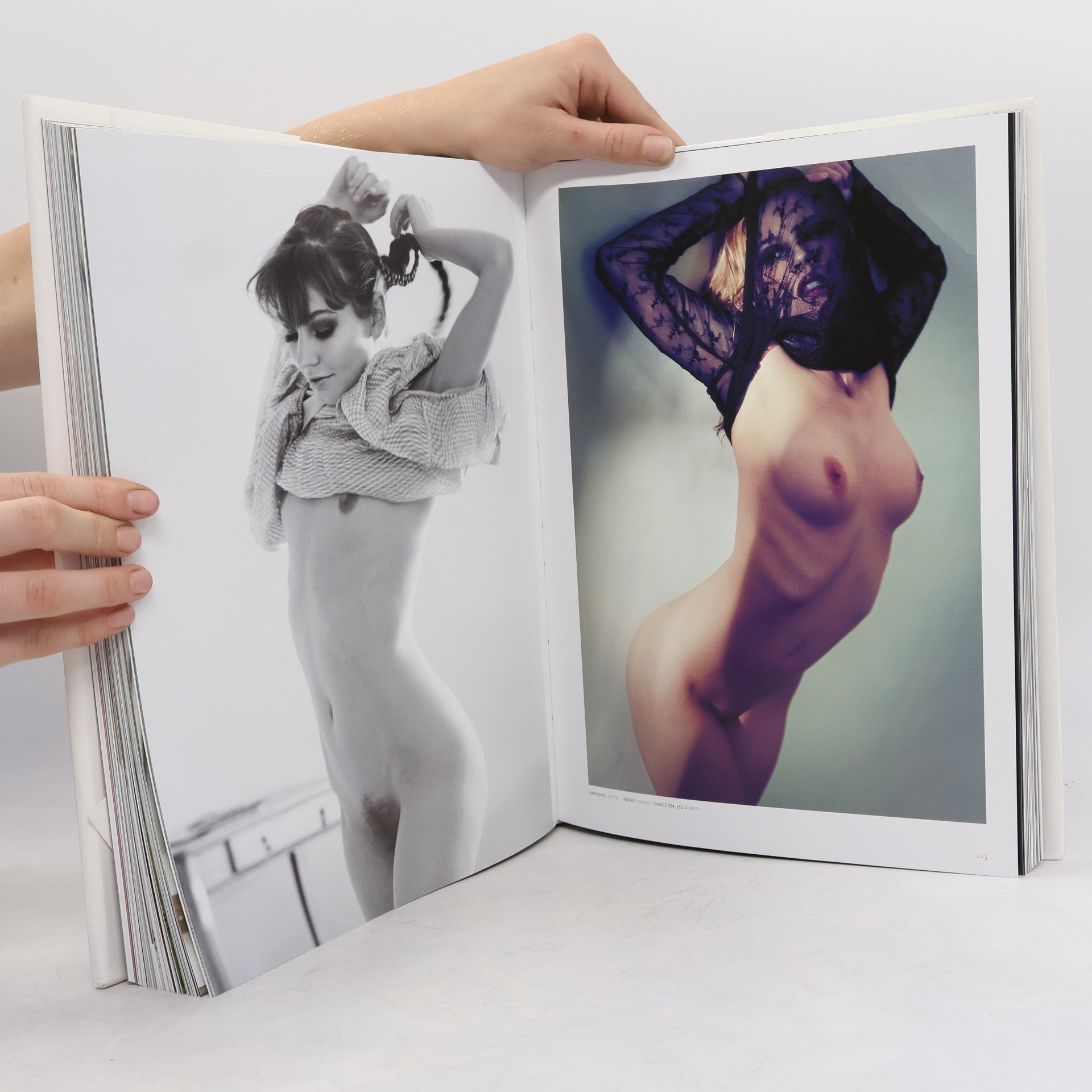 Dian Hanson The New Erotic Photography