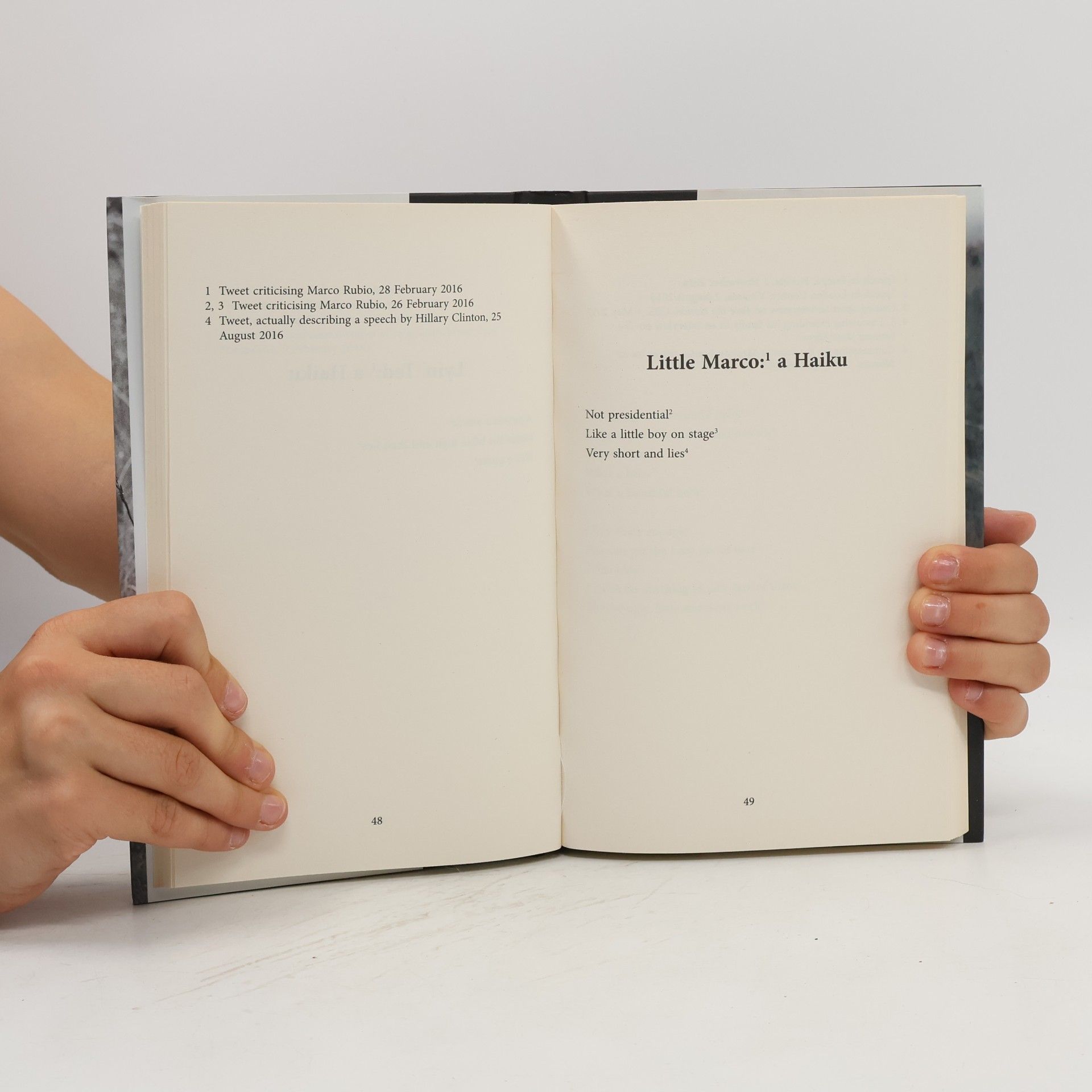 Rob Sears The Beautiful Poetry of Donald Trump