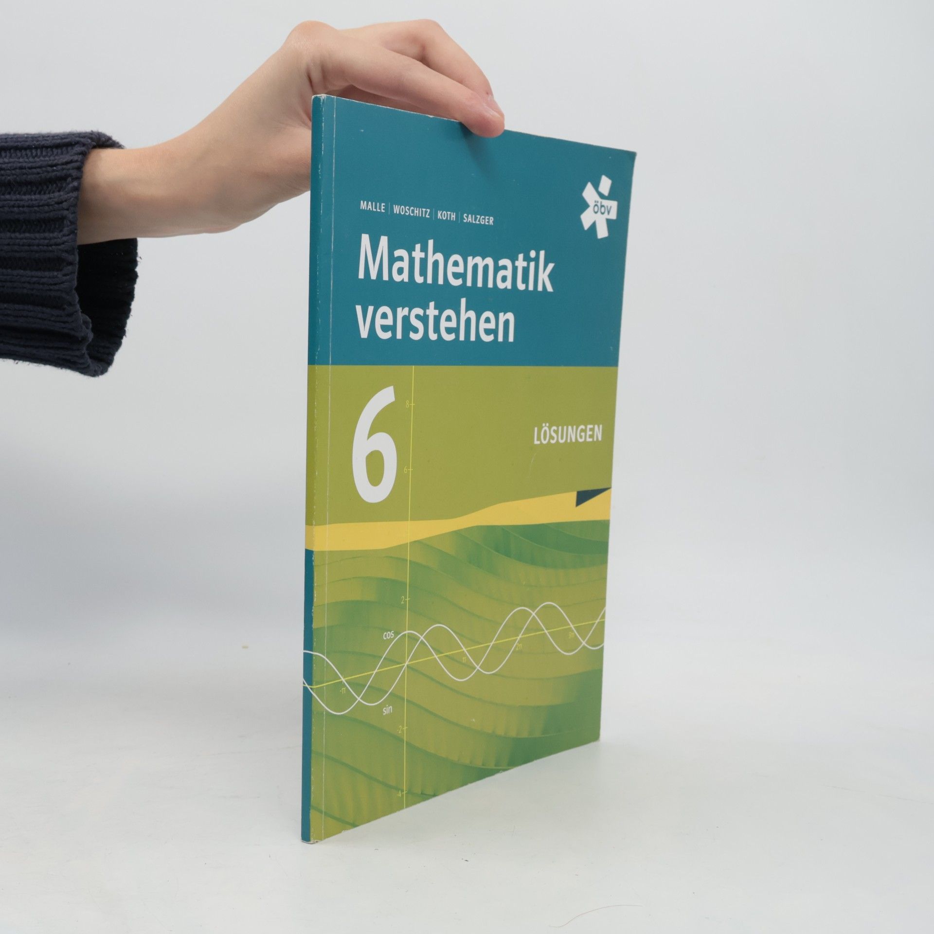 Collectif d'auteurs Mathematik Verstehen