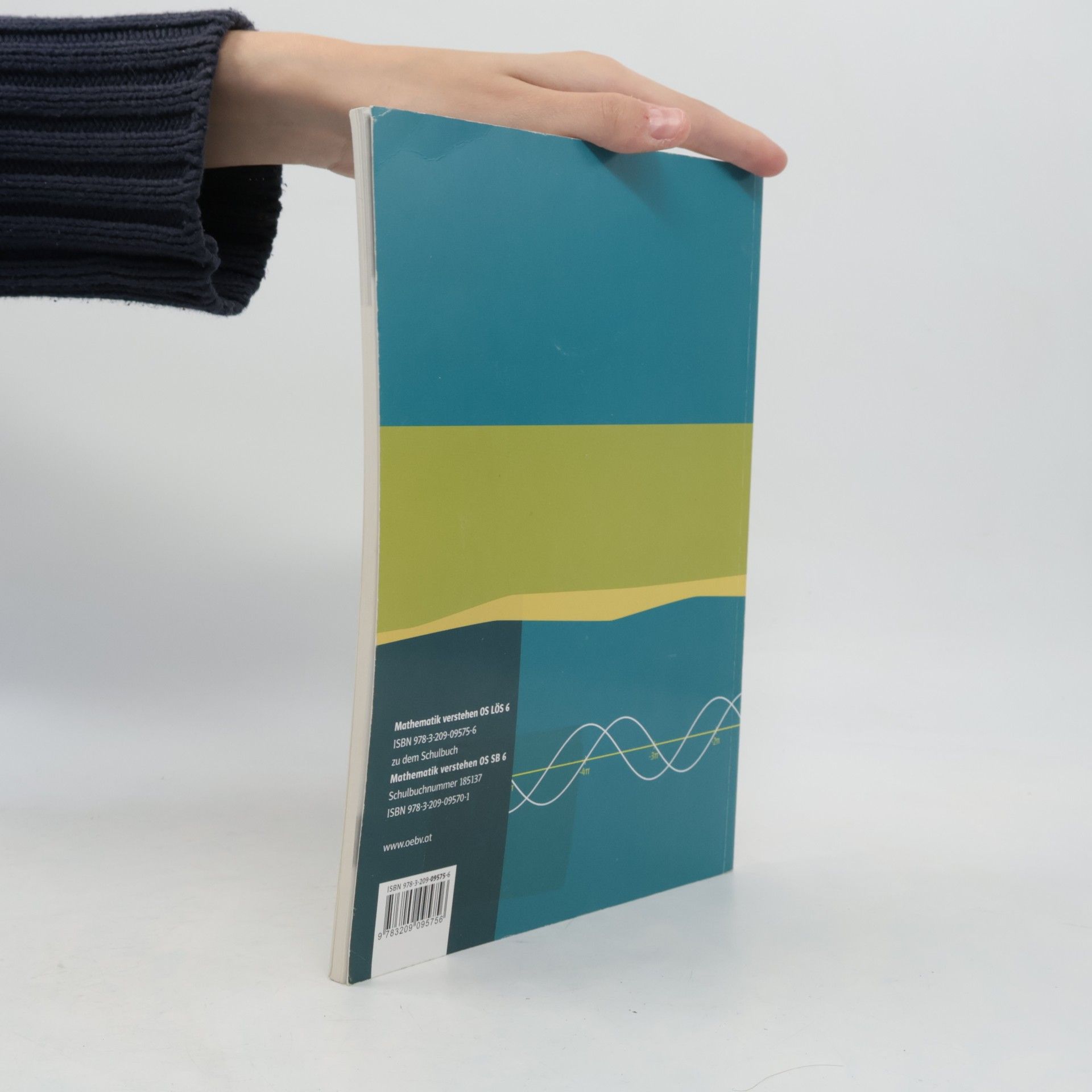 Autores varios Mathematik Verstehen