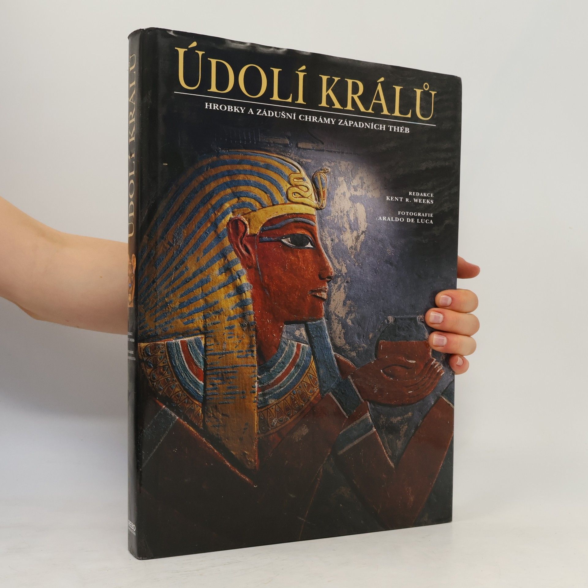 Kent R. Weeks Údolí králů : hrobky a zádušní chrámy západních Théb