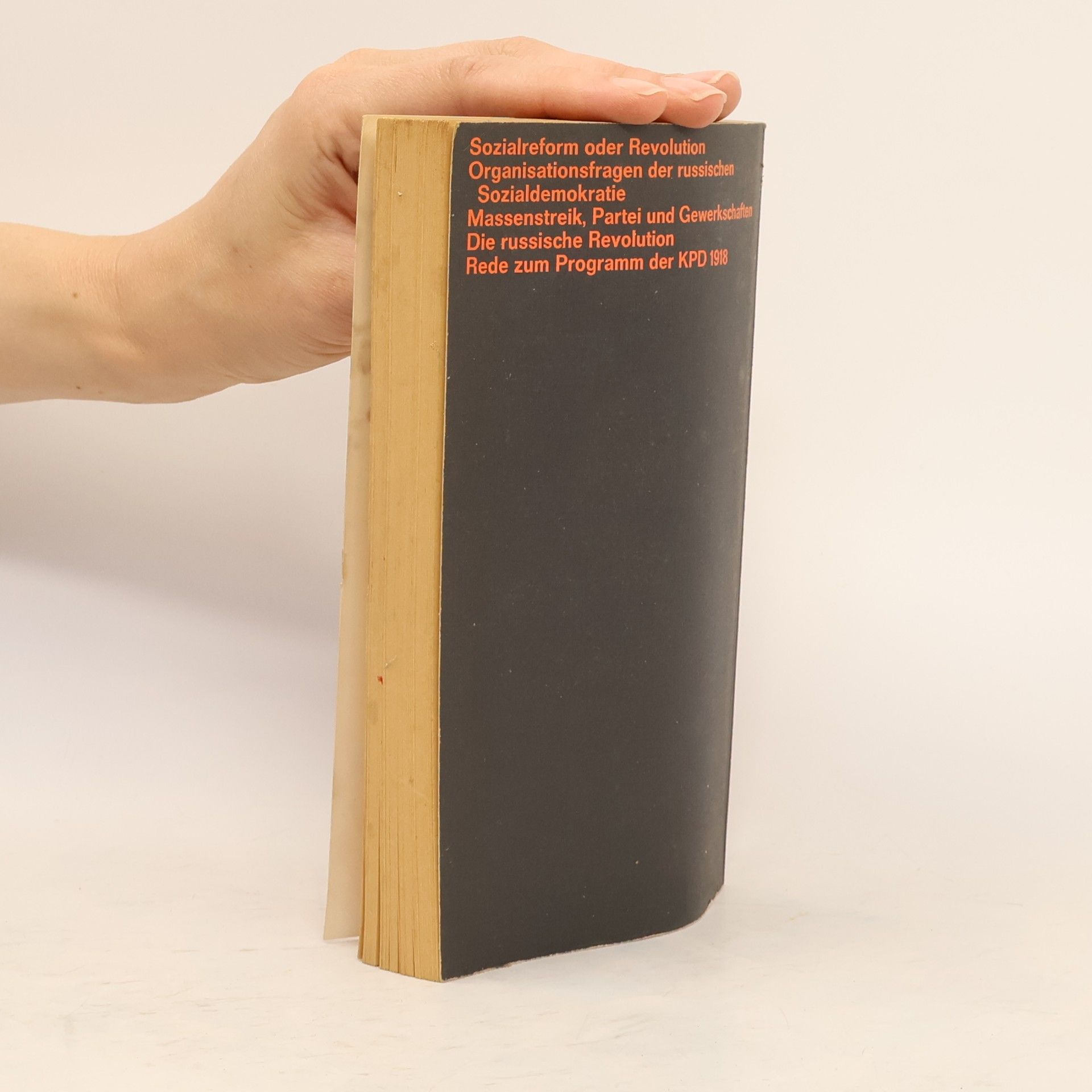 Rosa Luxemburg Schriften zur Theorie der Spontaneität