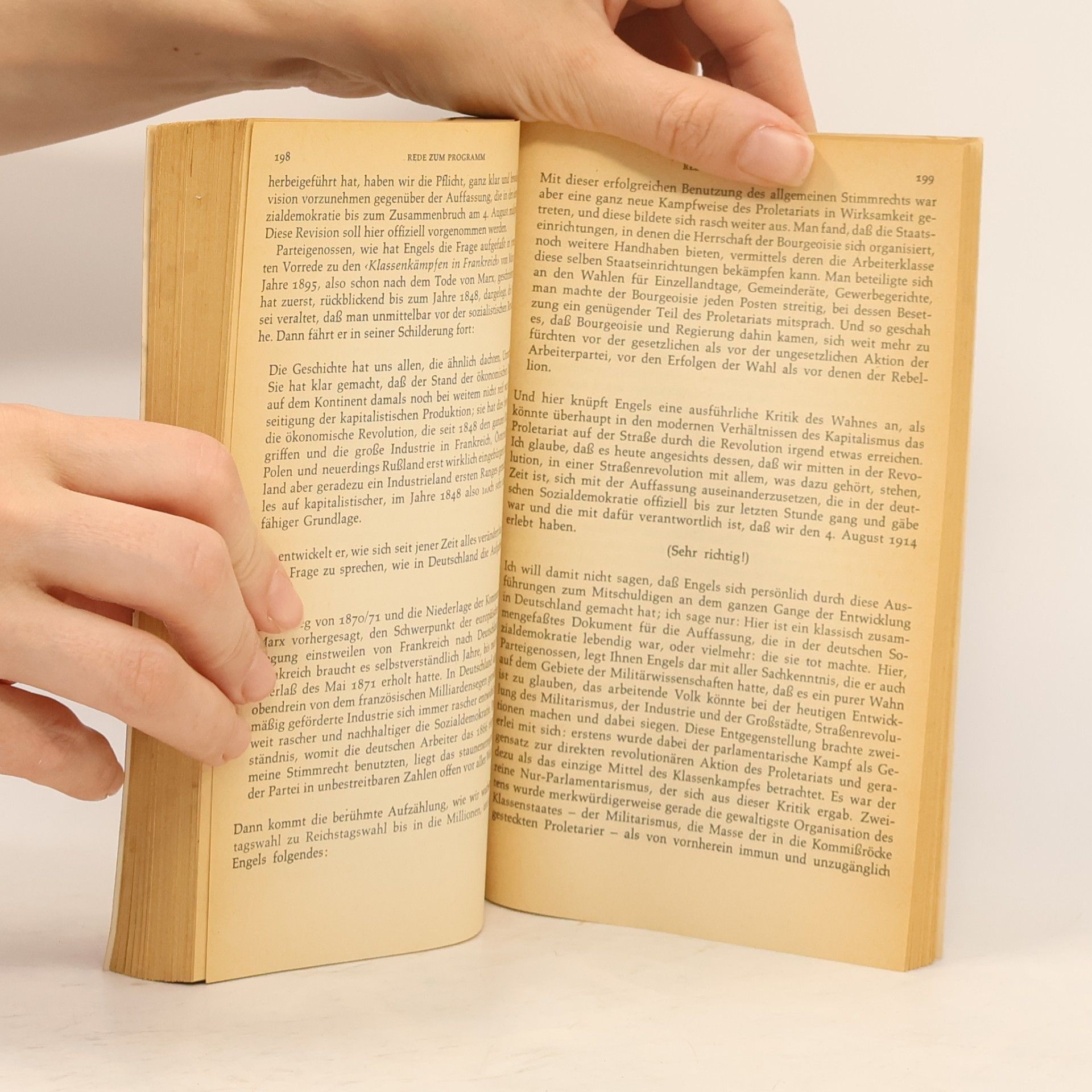 Rosa Luxemburg Schriften zur Theorie der Spontaneität