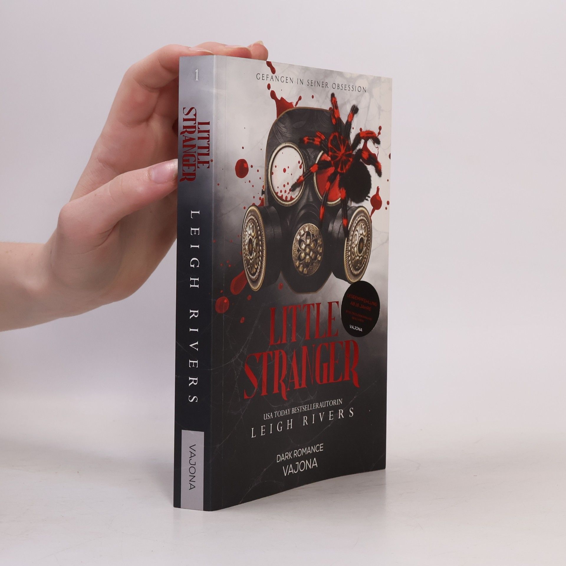 Leigh Rivers Little Stranger