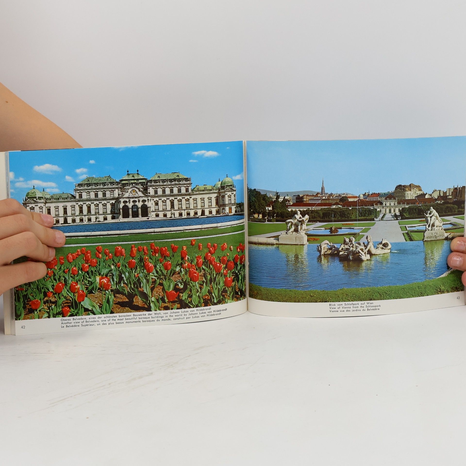 Kolektiv autorů Souvenir aus Wien