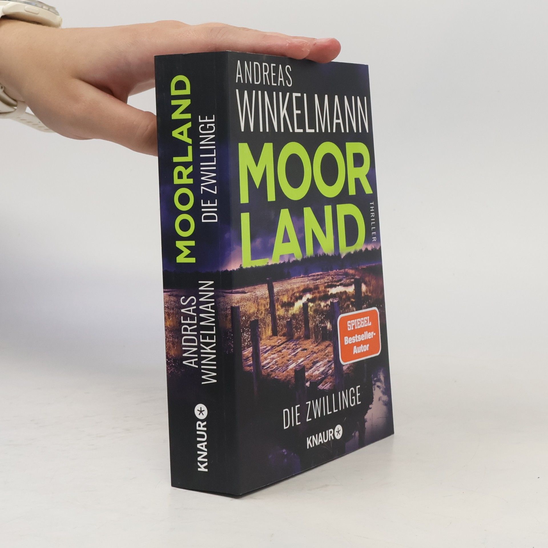 Hendrik Winter Moorland. Die Zwillinge