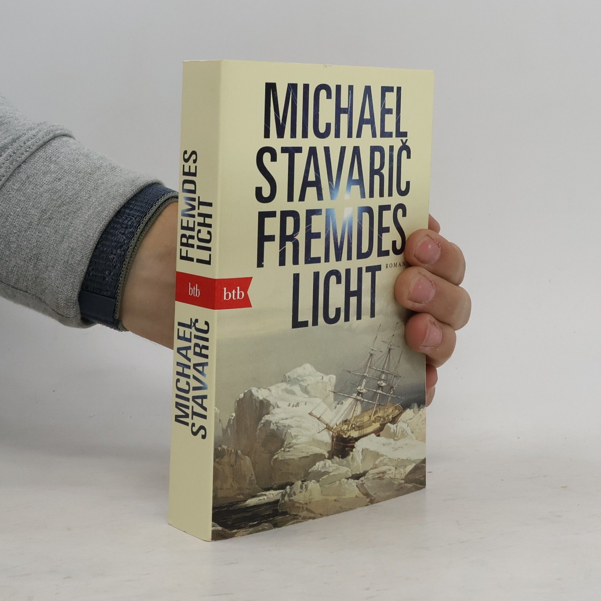 Michael Stavarič Fremdes Licht