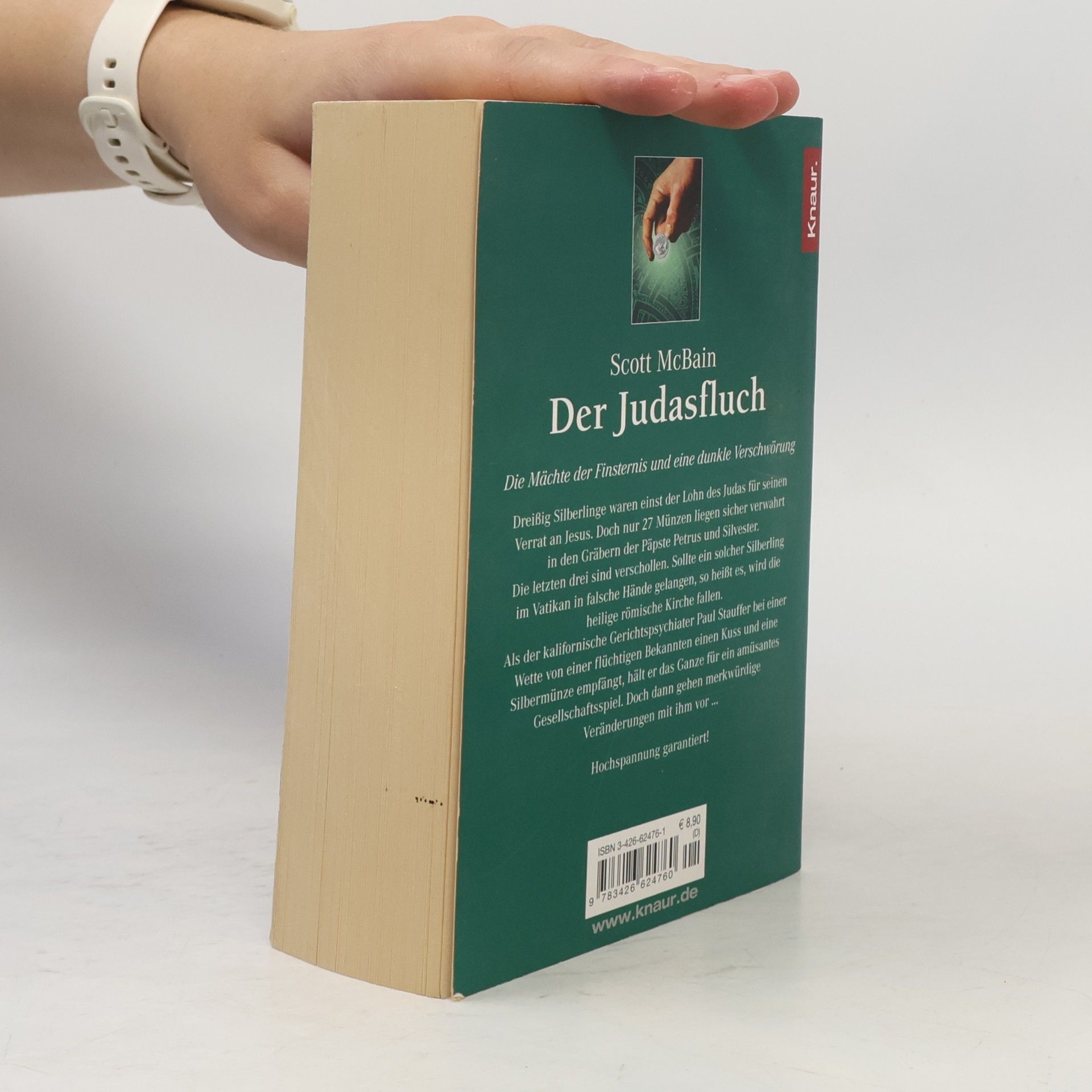 Scott McBain Der Judasfluch