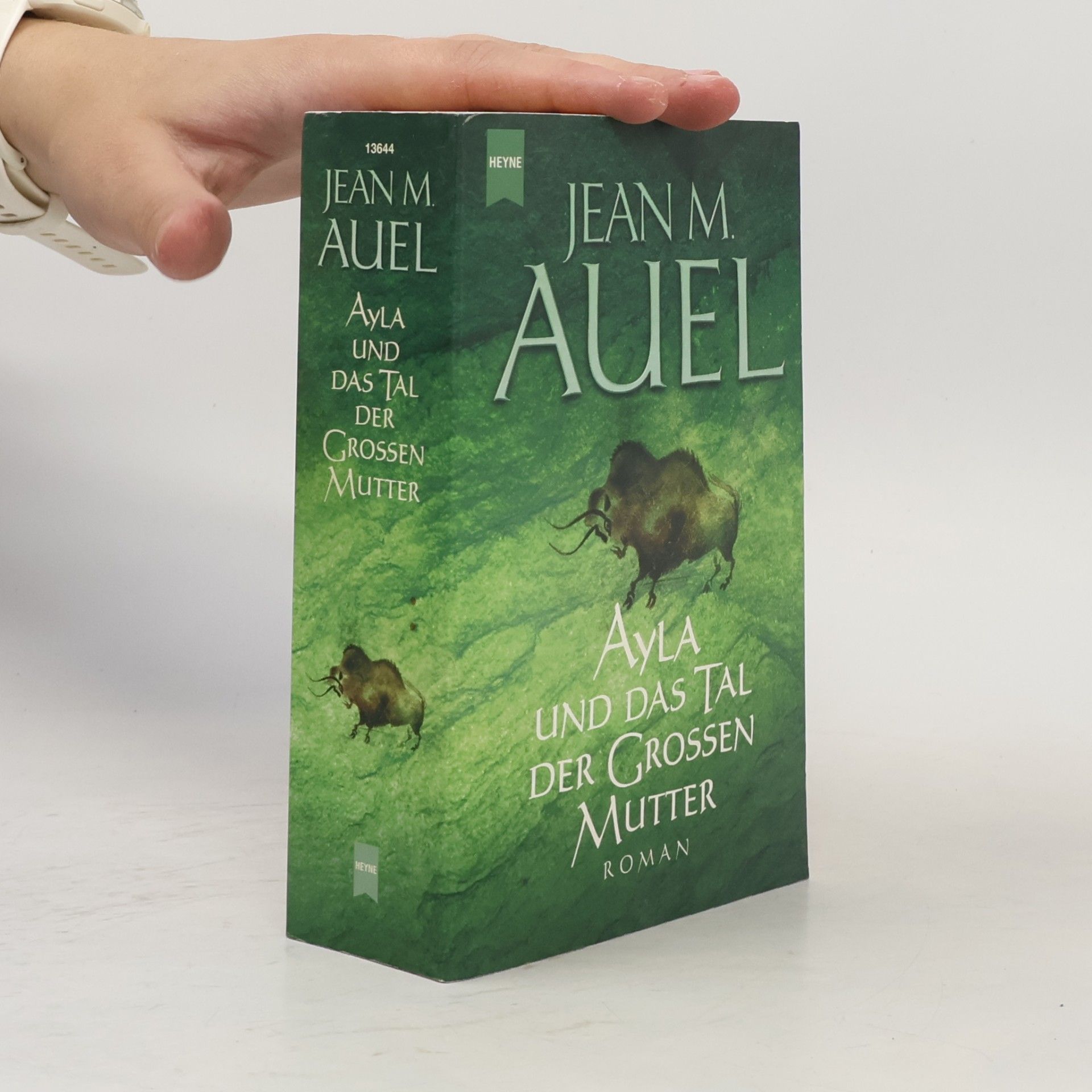 Jean M. Auelová Ayla und das Tal der Grossen Mutter