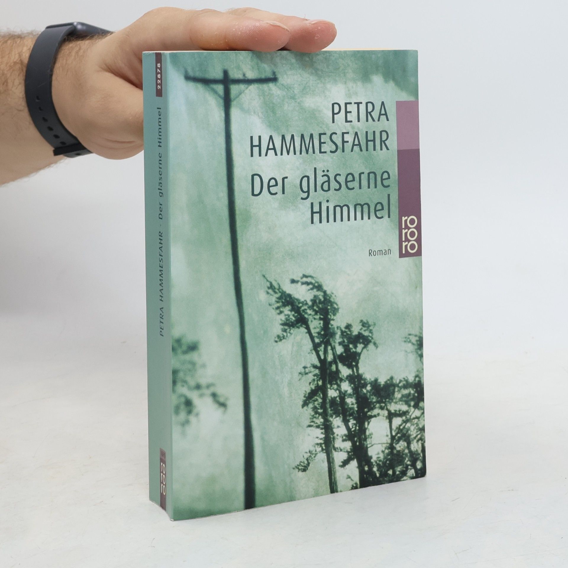 Petra Hammesfahr Der gläserne Himmel