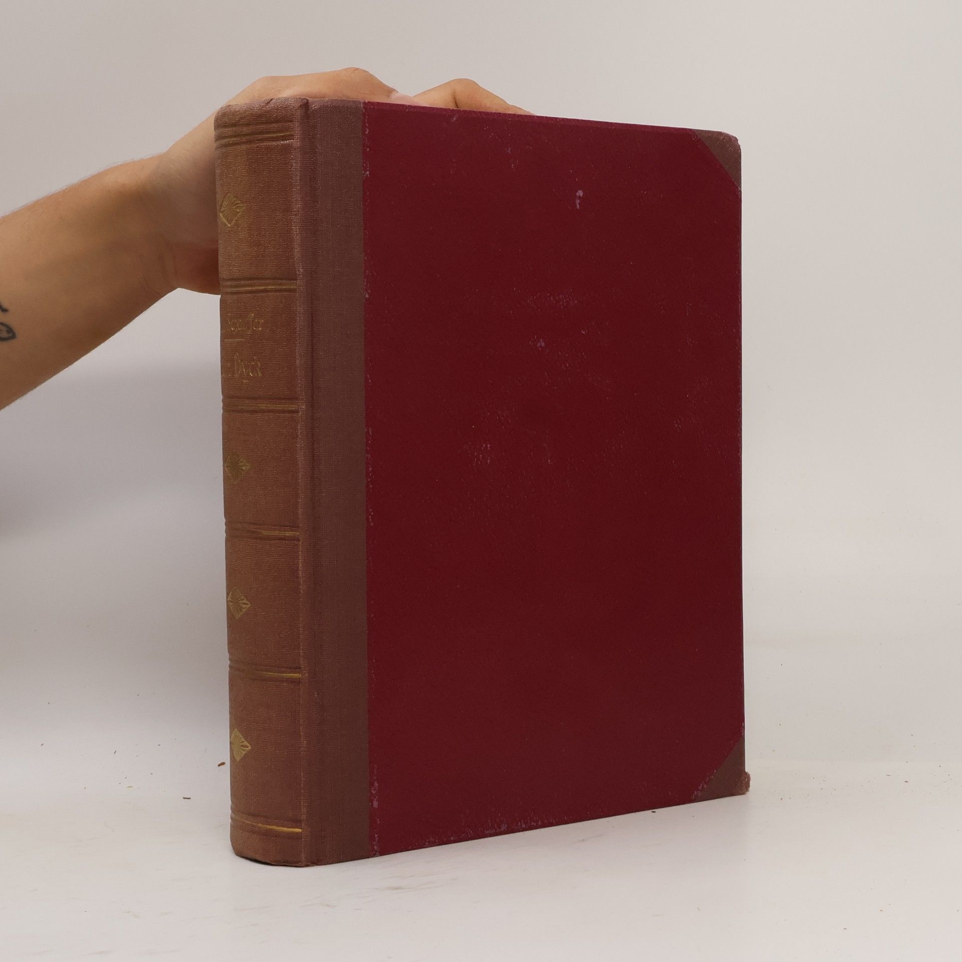 Autorenkollektiv Klassiker der Kunst in Gesamtausgaben 13