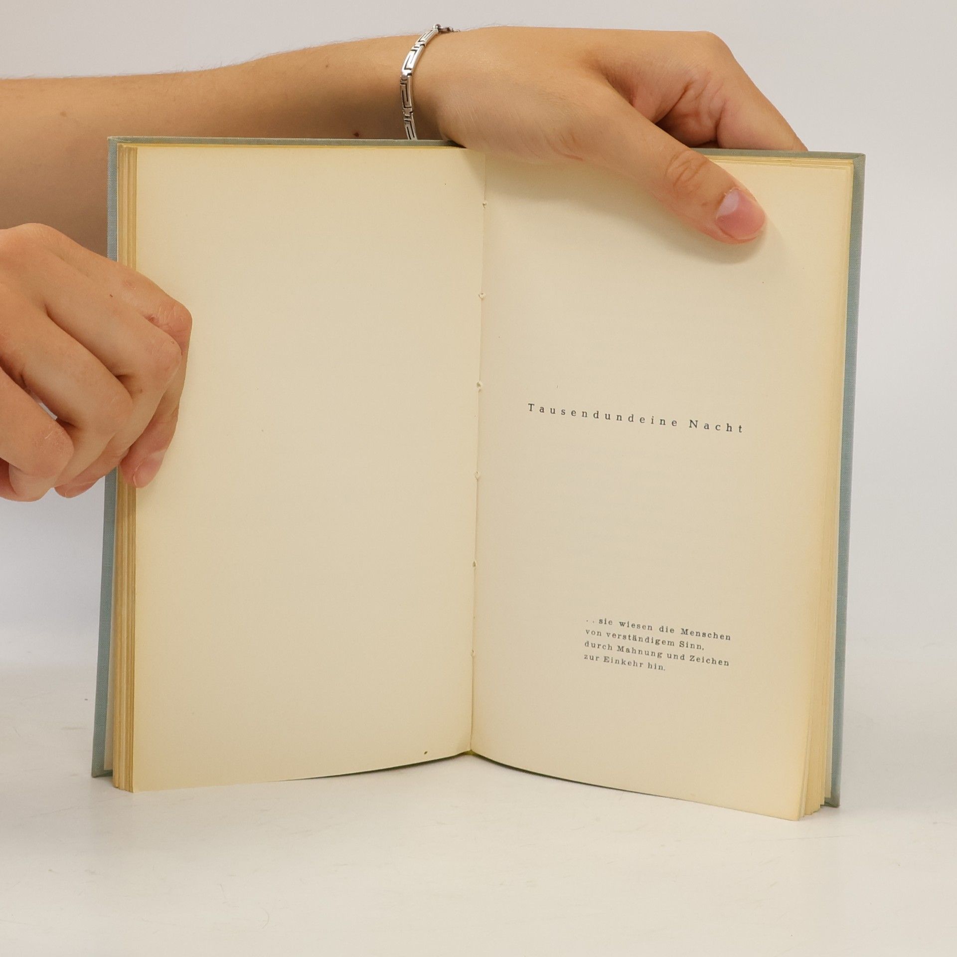 Heinrich Tieck Des Lebens Karawane