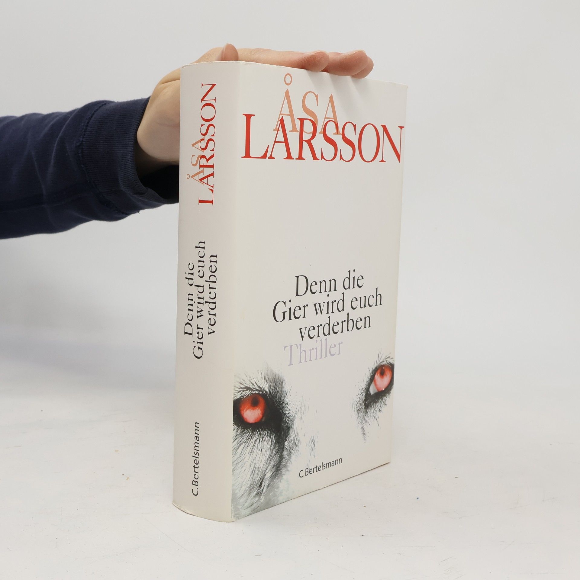 Åsa Larsson Denn die Gier wird euch verderben