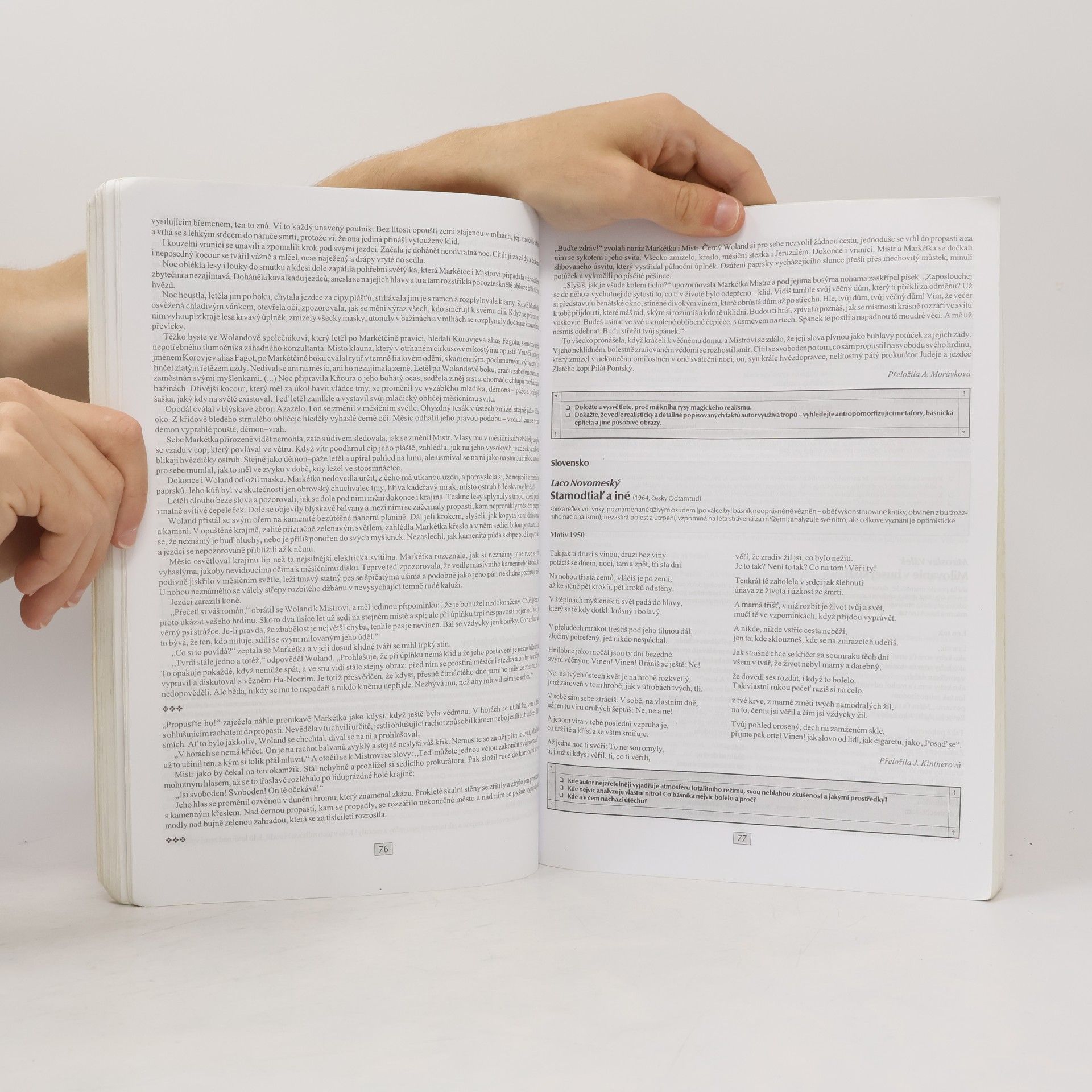 Marie Sochrová Čítanka k Literatuře v kostce IV.