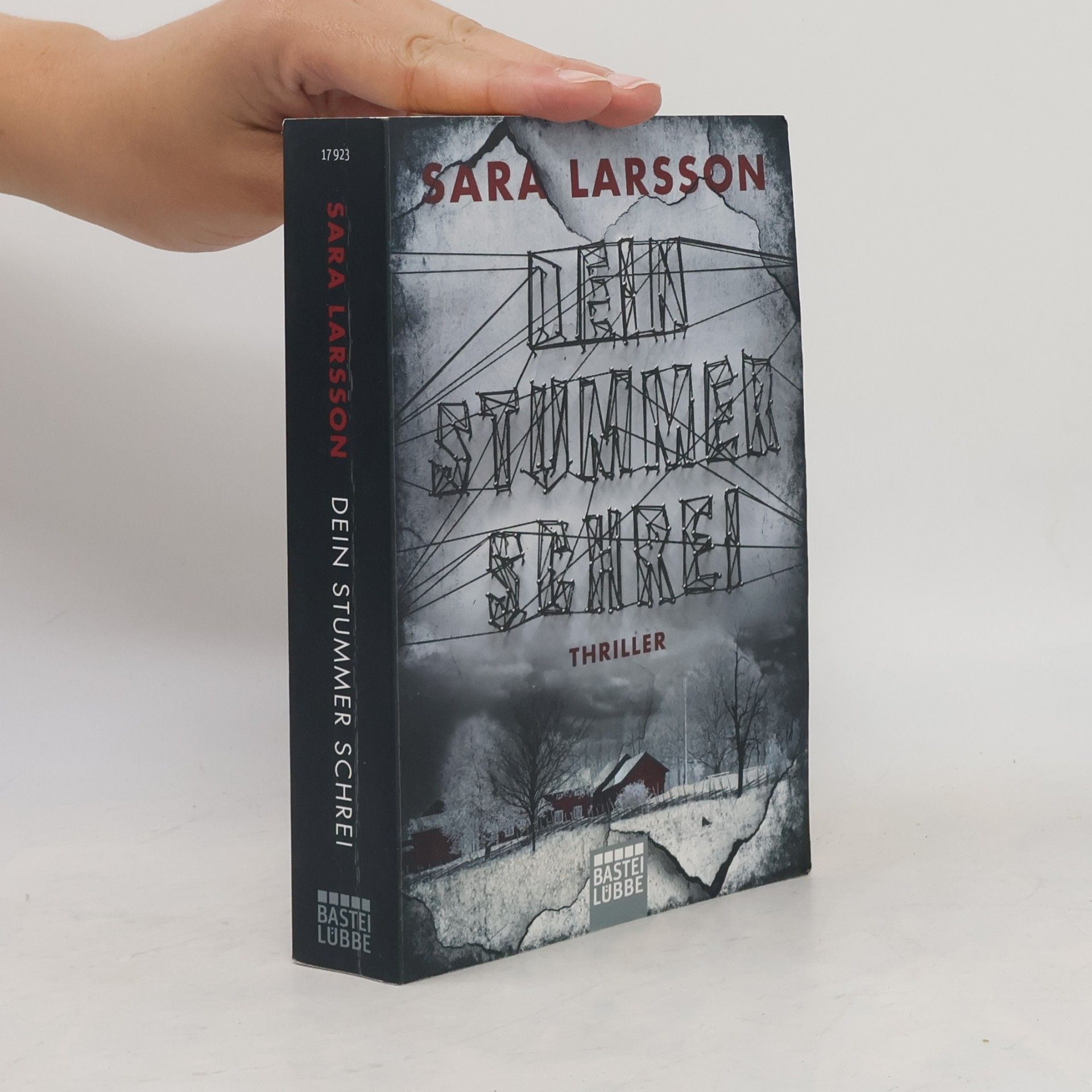 Sara Larsson Dein stummer Schrei