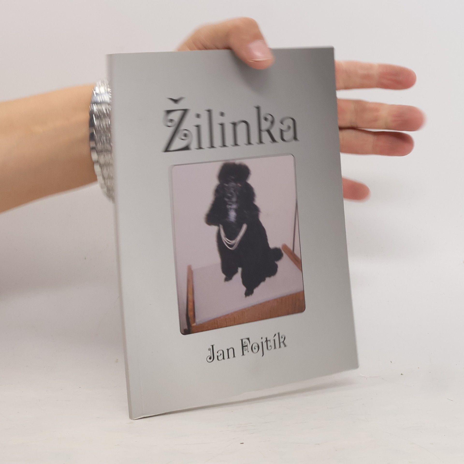 Žilinka