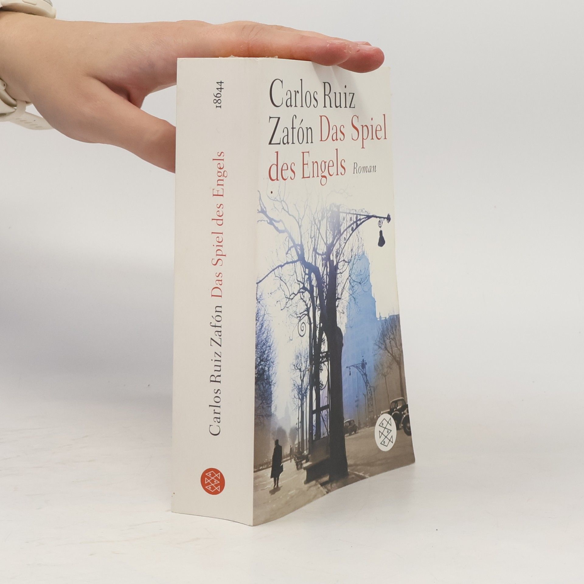 Carlos Ruiz Safon Das Spiel des Engels