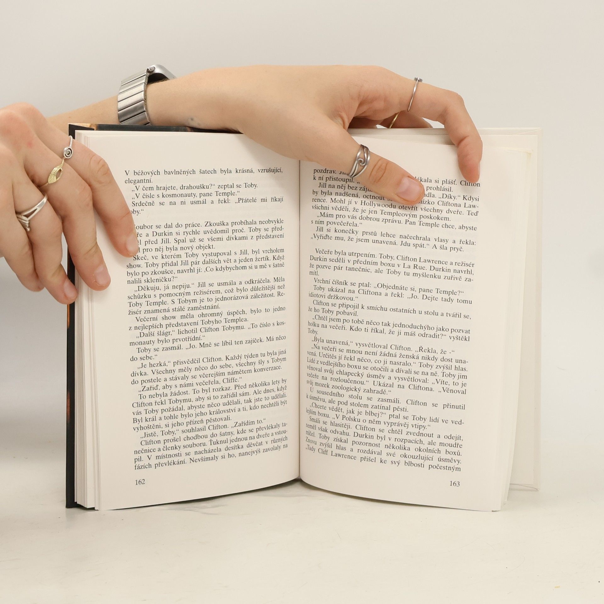 Sidney Sheldon Cizinec v zrcadle