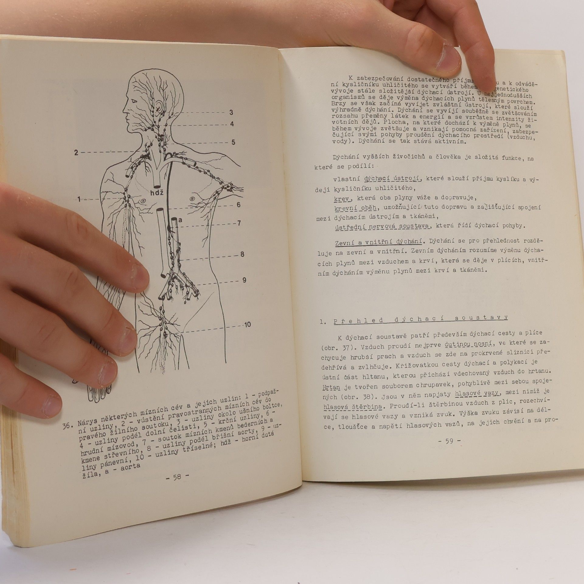 Lubor Jílek Biologie člověka pro IV. ročník gymnázií : pokusný učební text