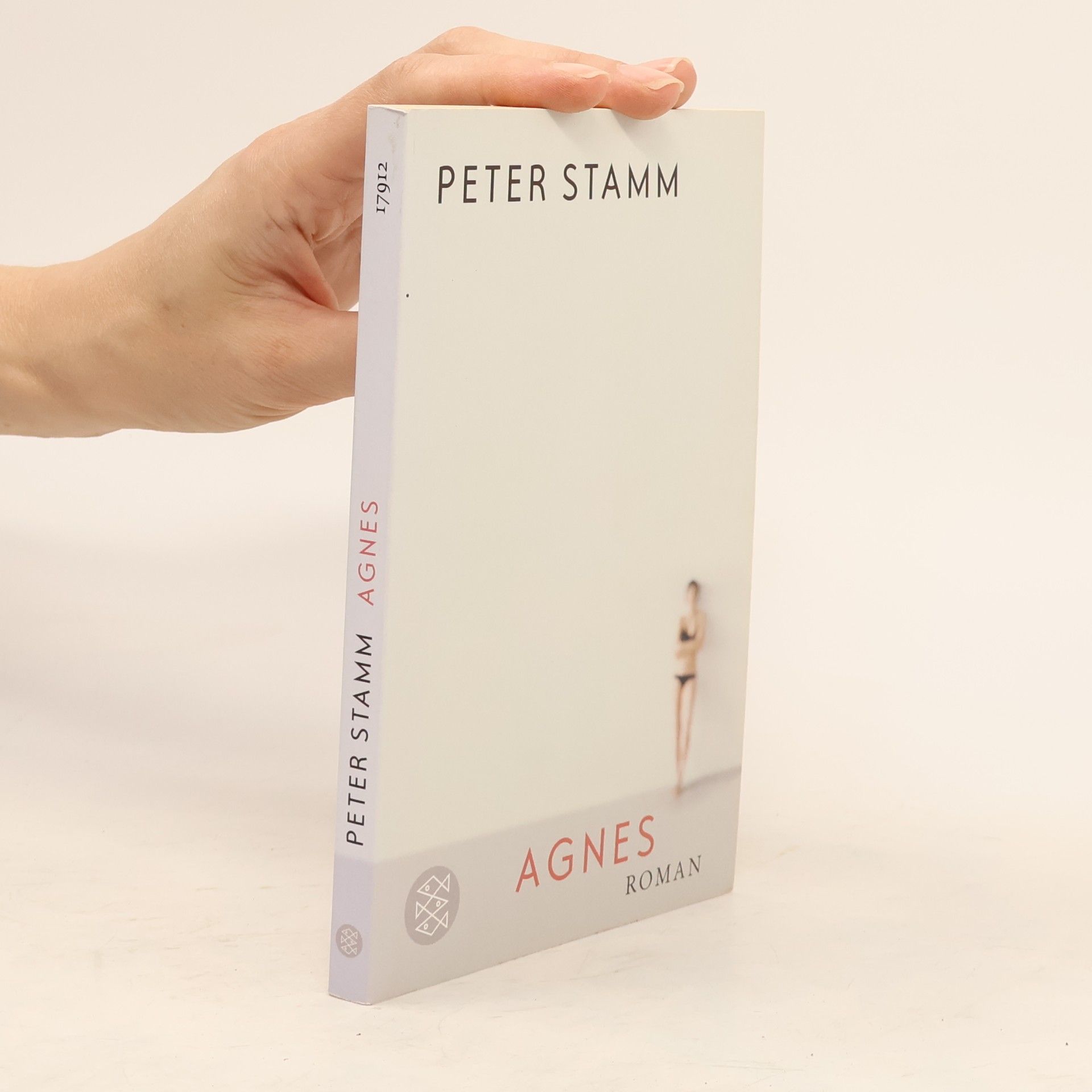 Peter Stamm Agnes
