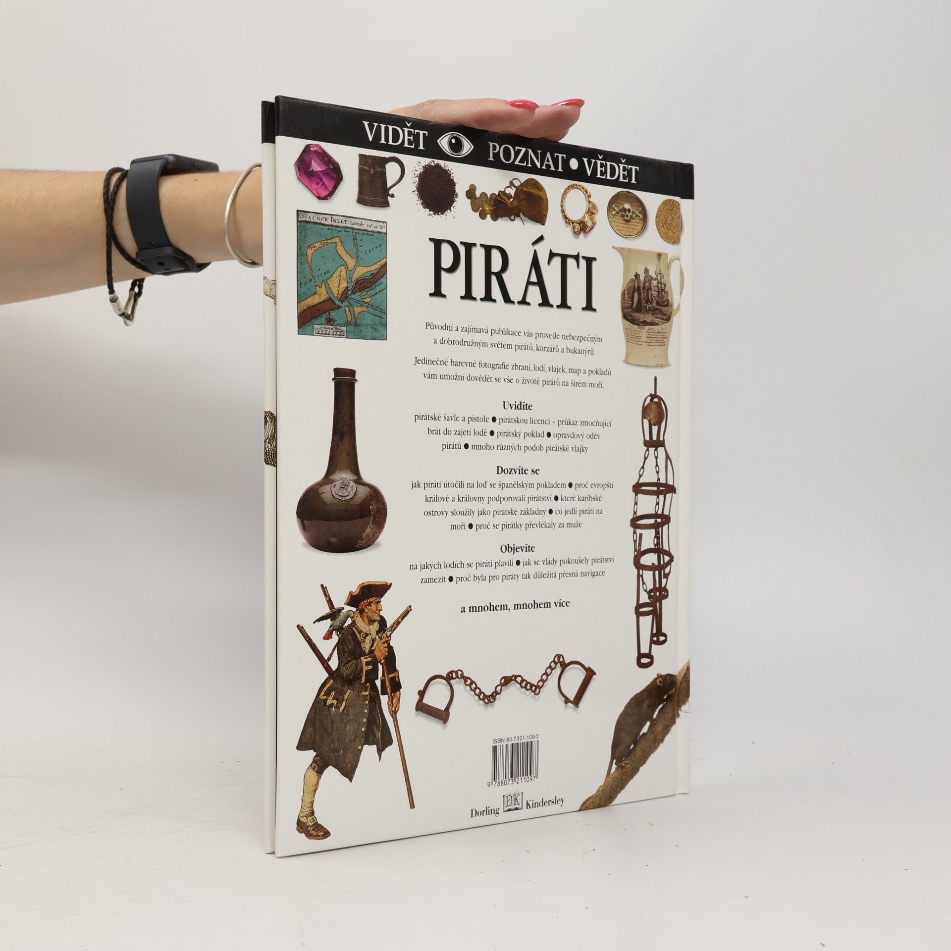 Richard Platt Piráti