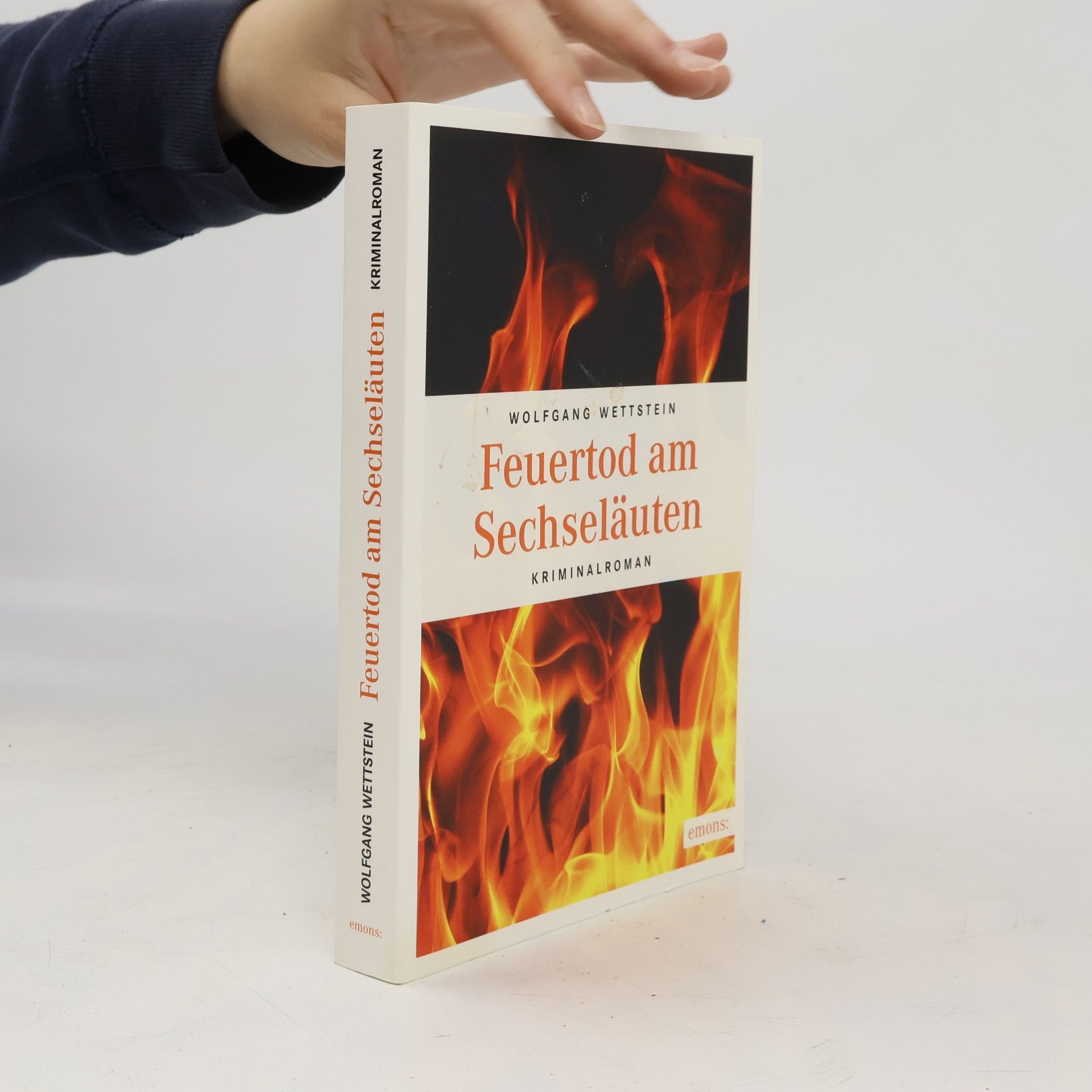 Wolfgang Wettstein Feuertod am Sechseläuten