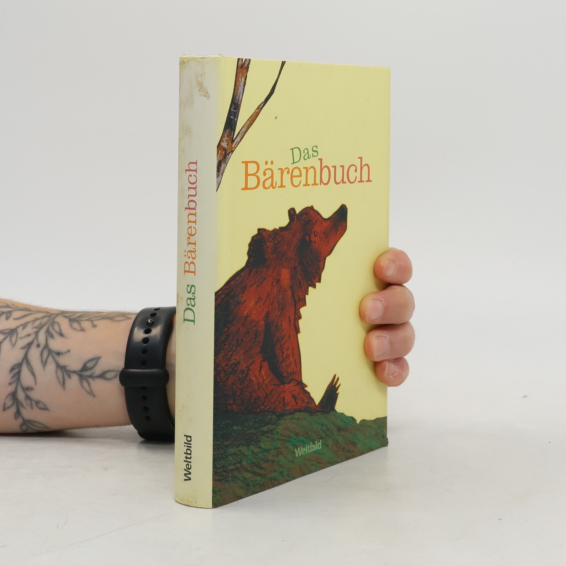Julia Bachstein Das Bärenbuch