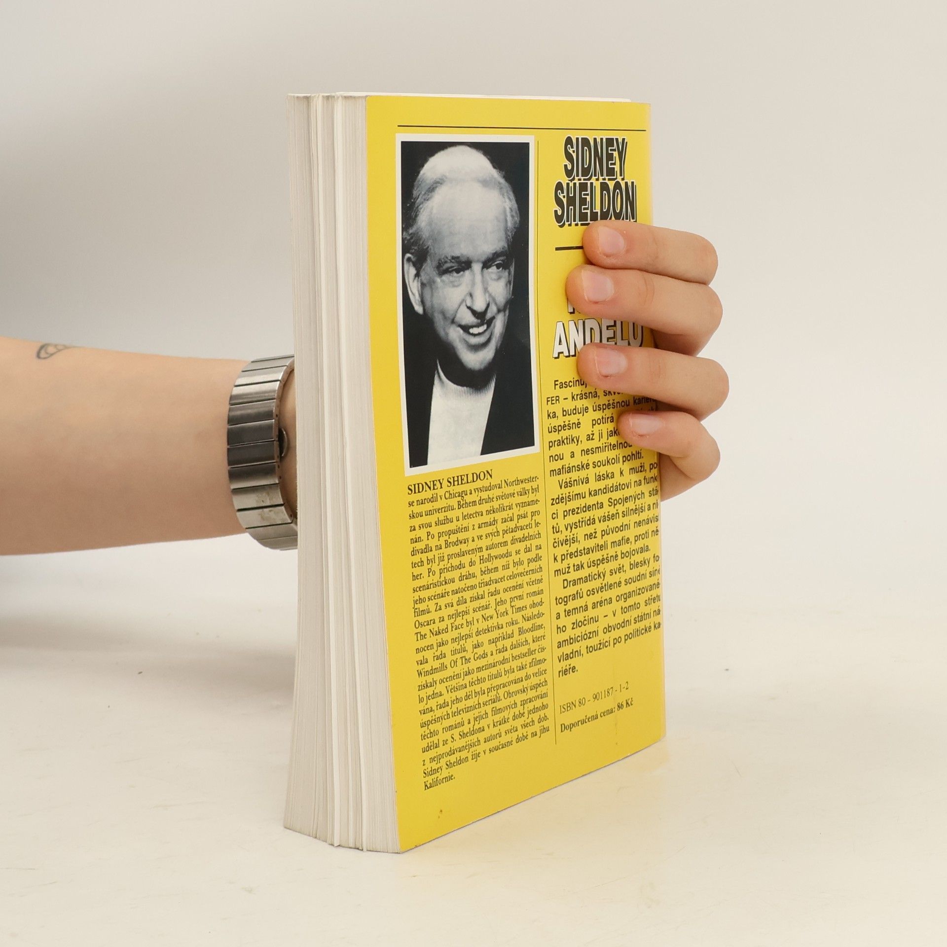 Sidney Sheldon Hněv andělů