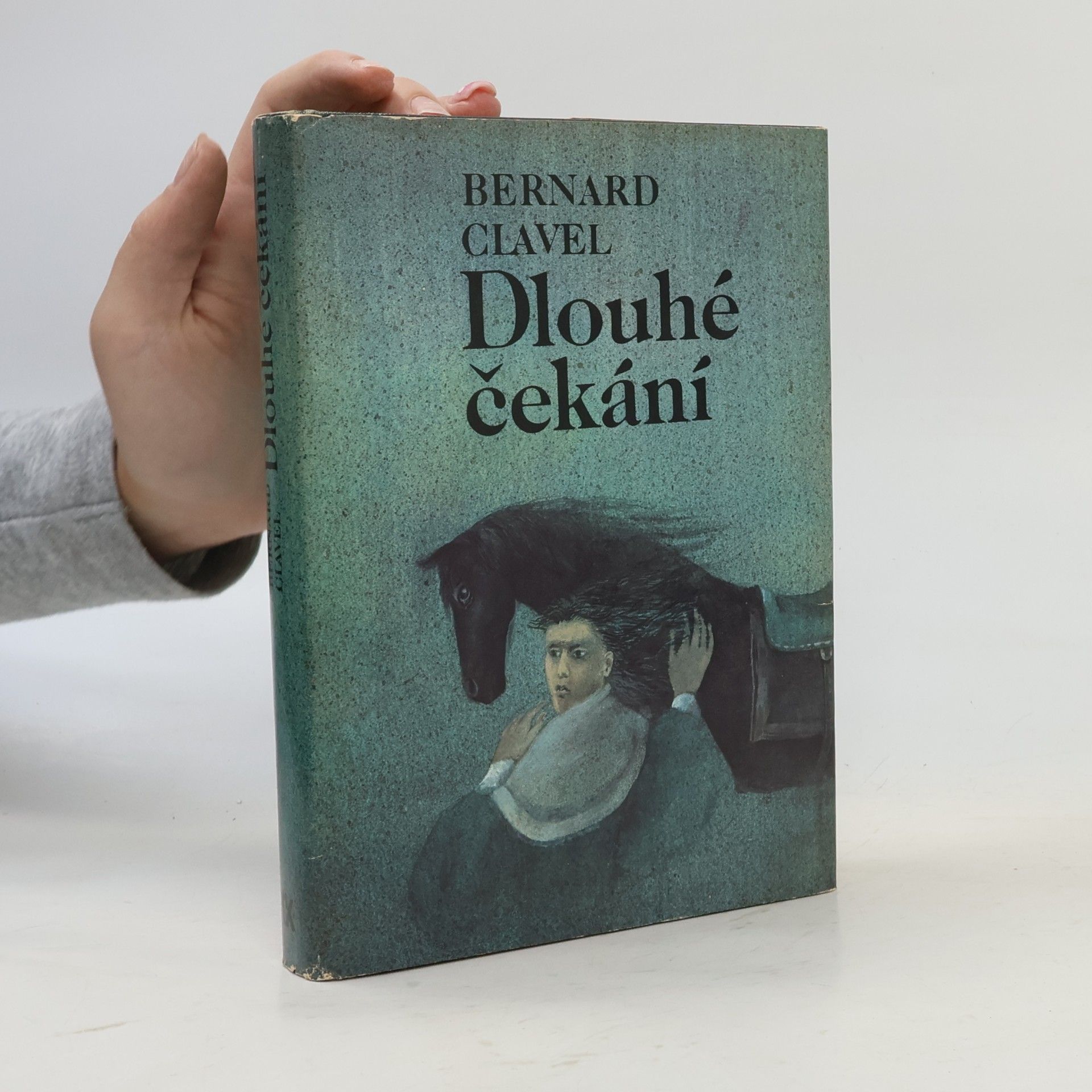 Bernard Clavel Dlouhé čekání