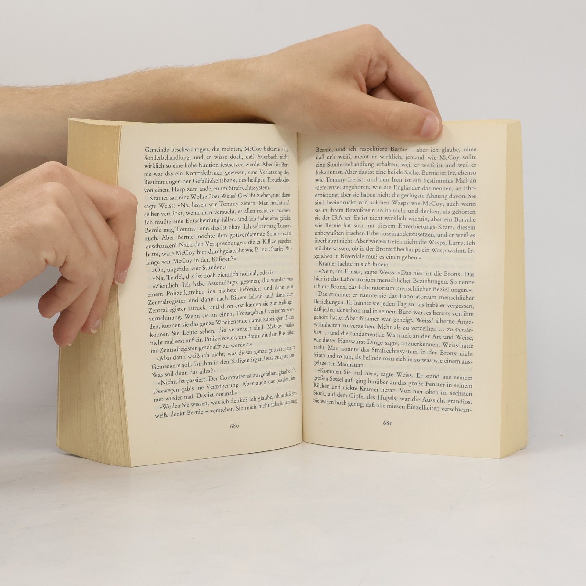Tom Wolfe Fegefeuer der Eitelkeiten