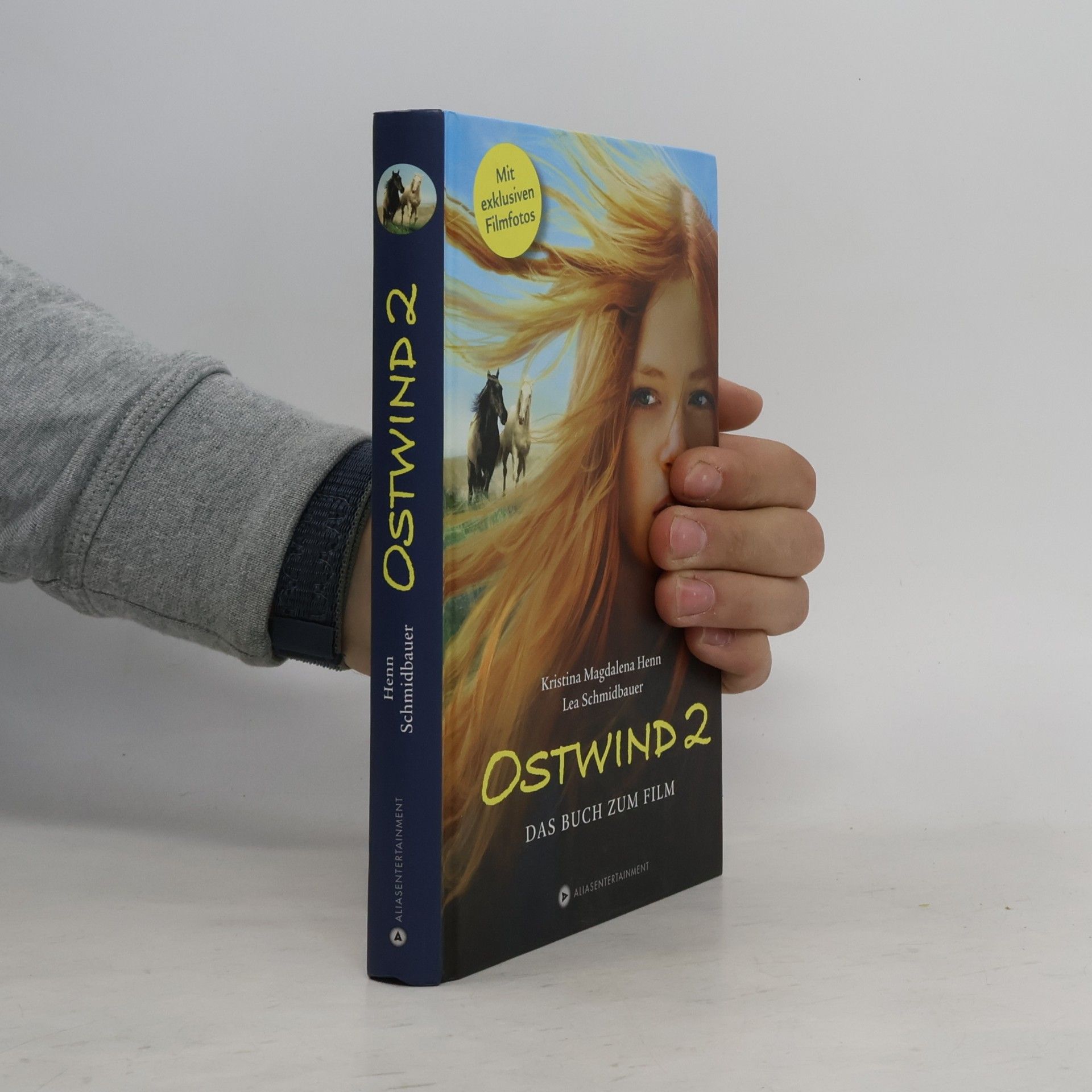 Ostwind 2 - Das Buch zum Film