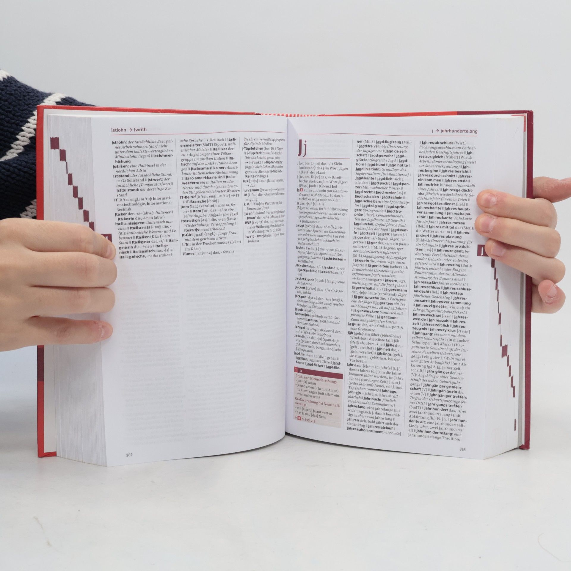 Ulrike Steiner Österreichisches Wörterbuch
