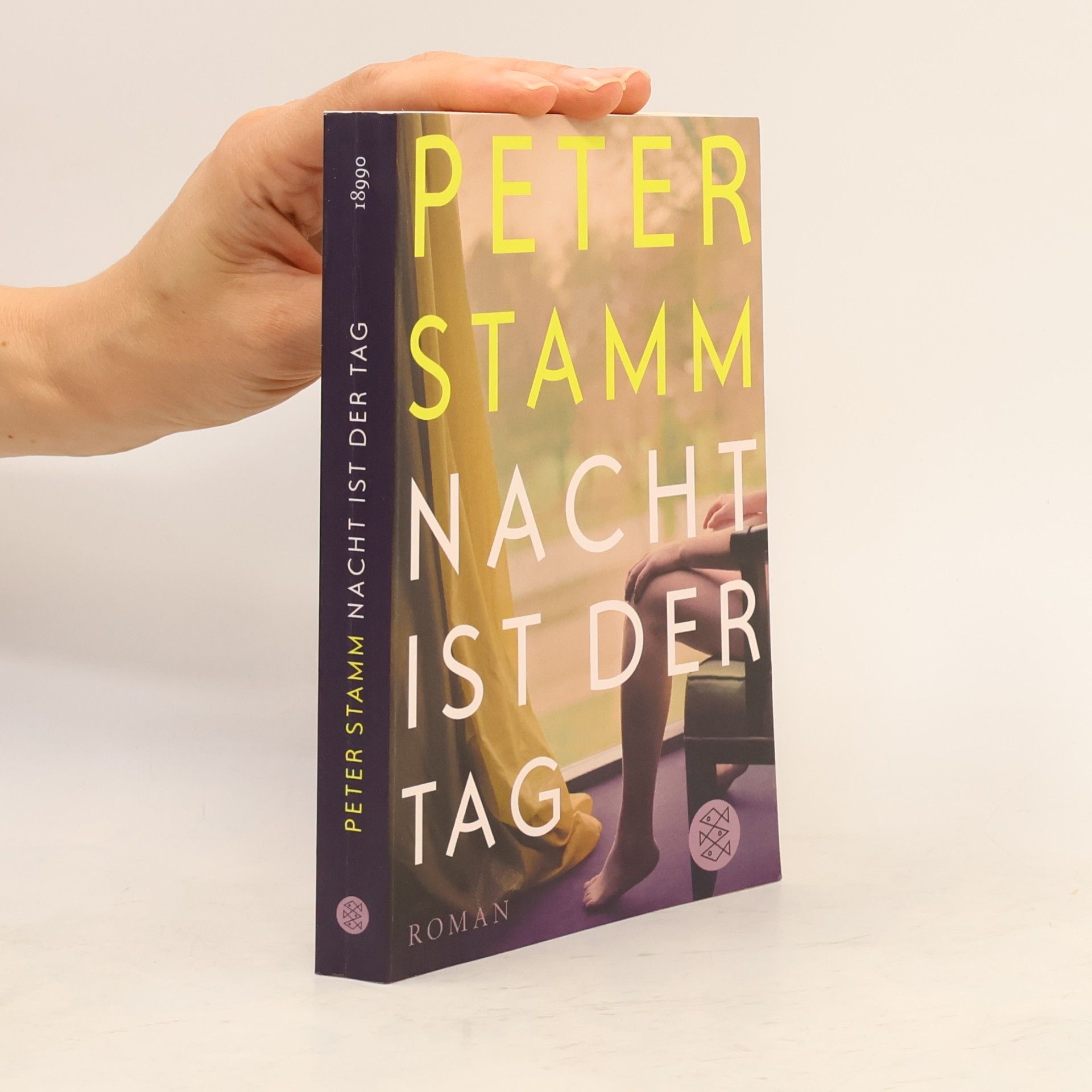 Peter Stamm Nacht ist der Tag