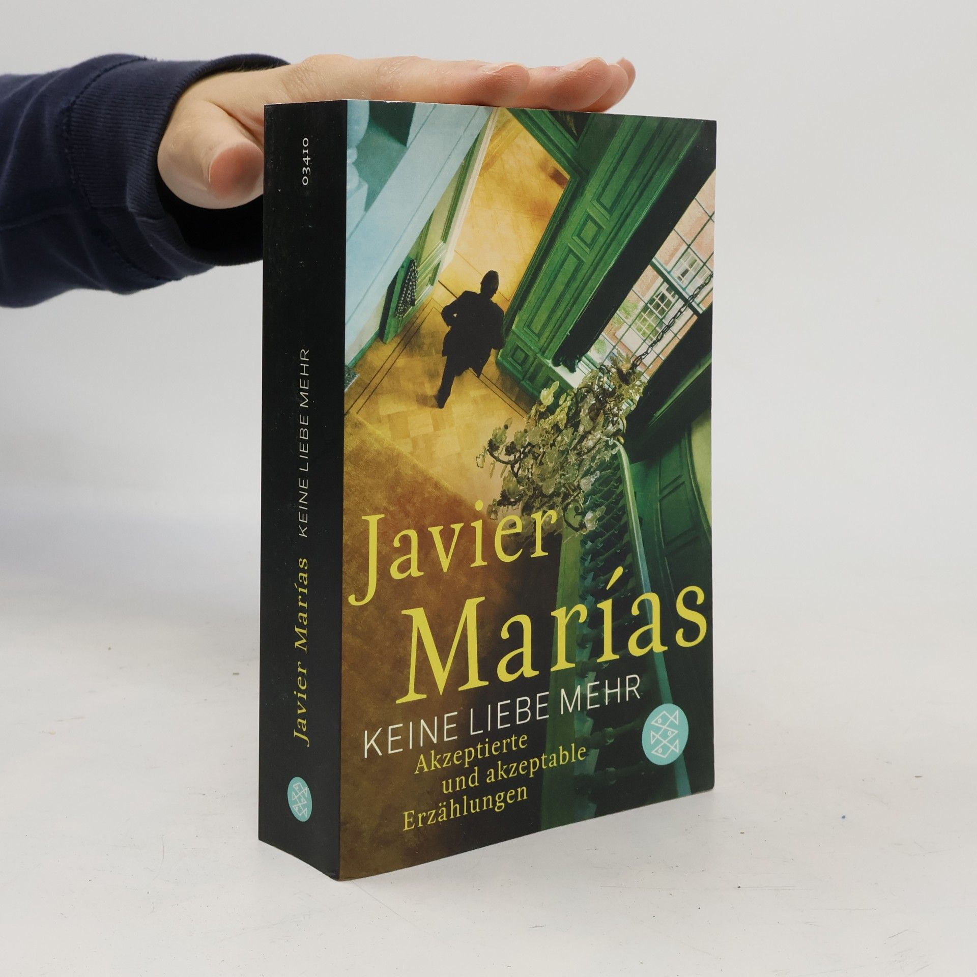 Javier Marías Keine Liebe mehr