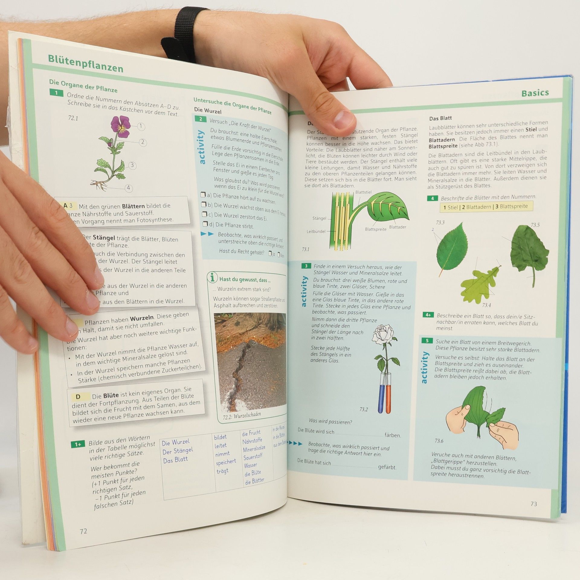 Bergmann Basic Biology 1