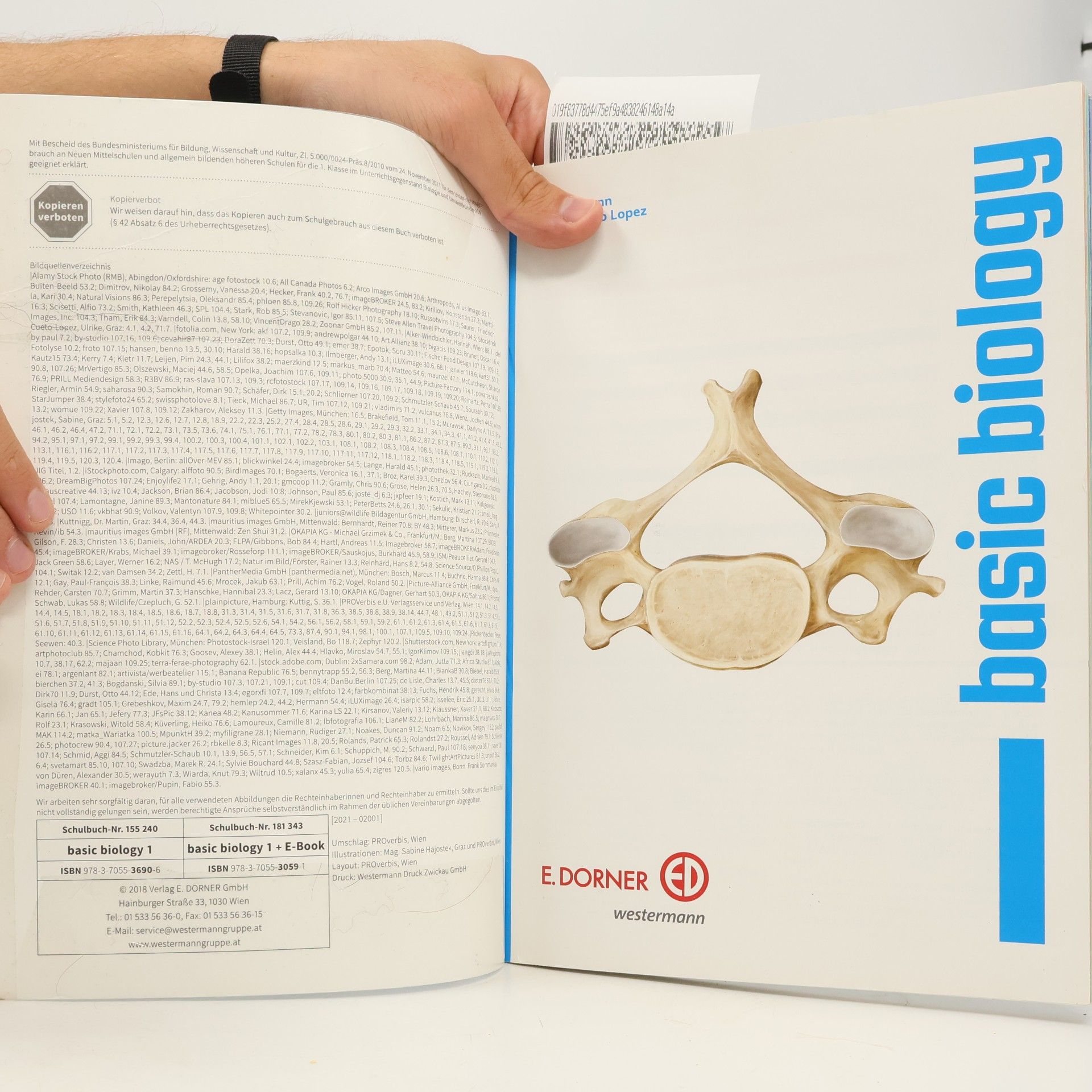 Bergmann Basic Biology 1