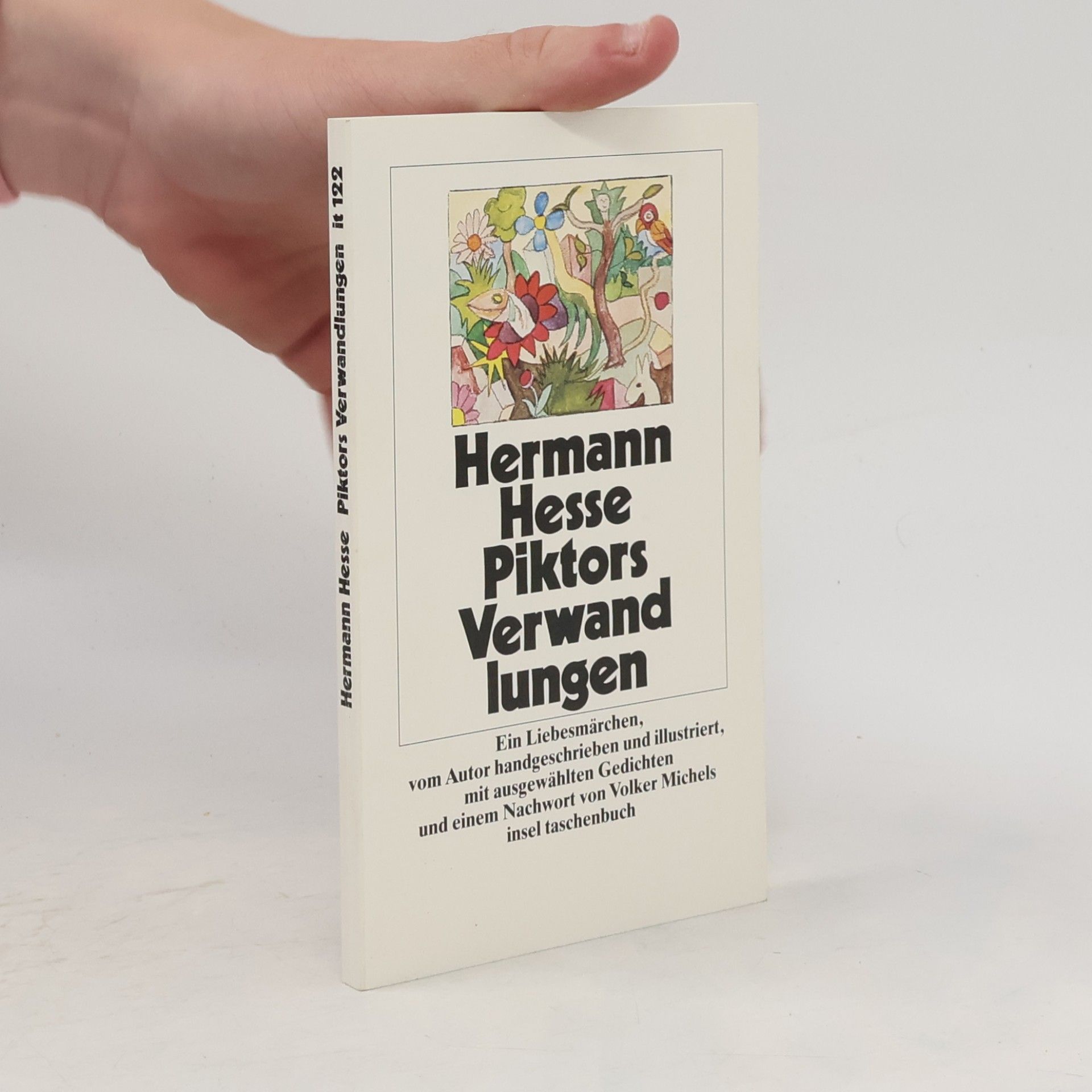 Hermann Hesse Piktors Verwandlungen