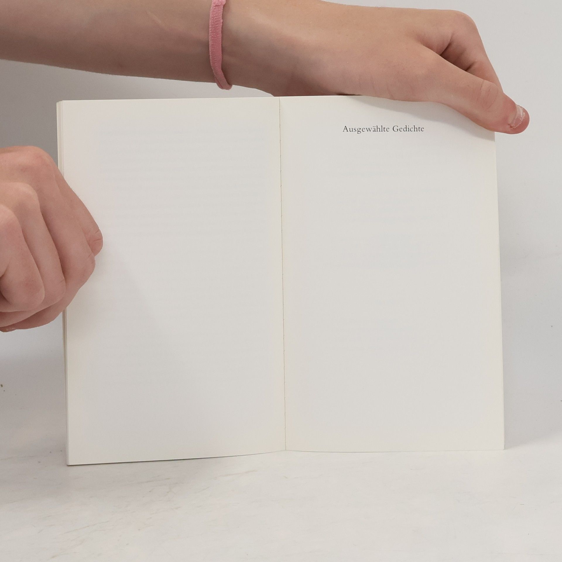 Hermann Hesse Piktors Verwandlungen