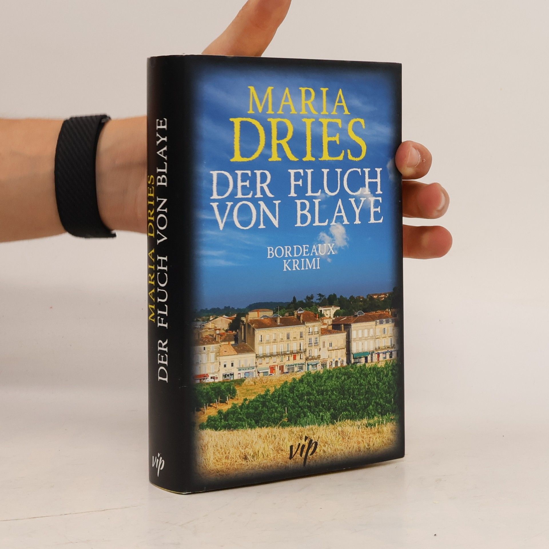 Maria Dries Der Fluch von Blaye