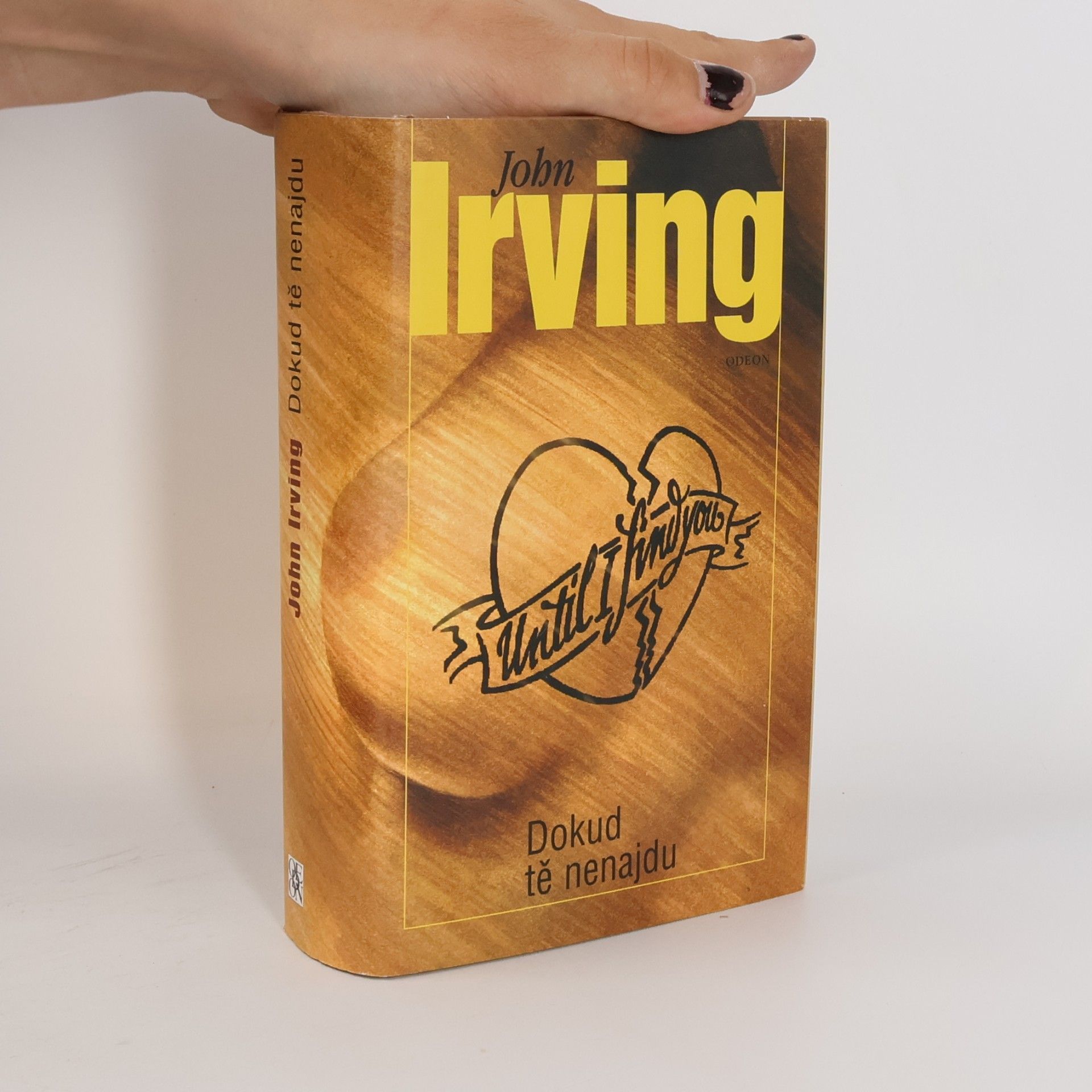 John Irving Dokud tě nenajdu