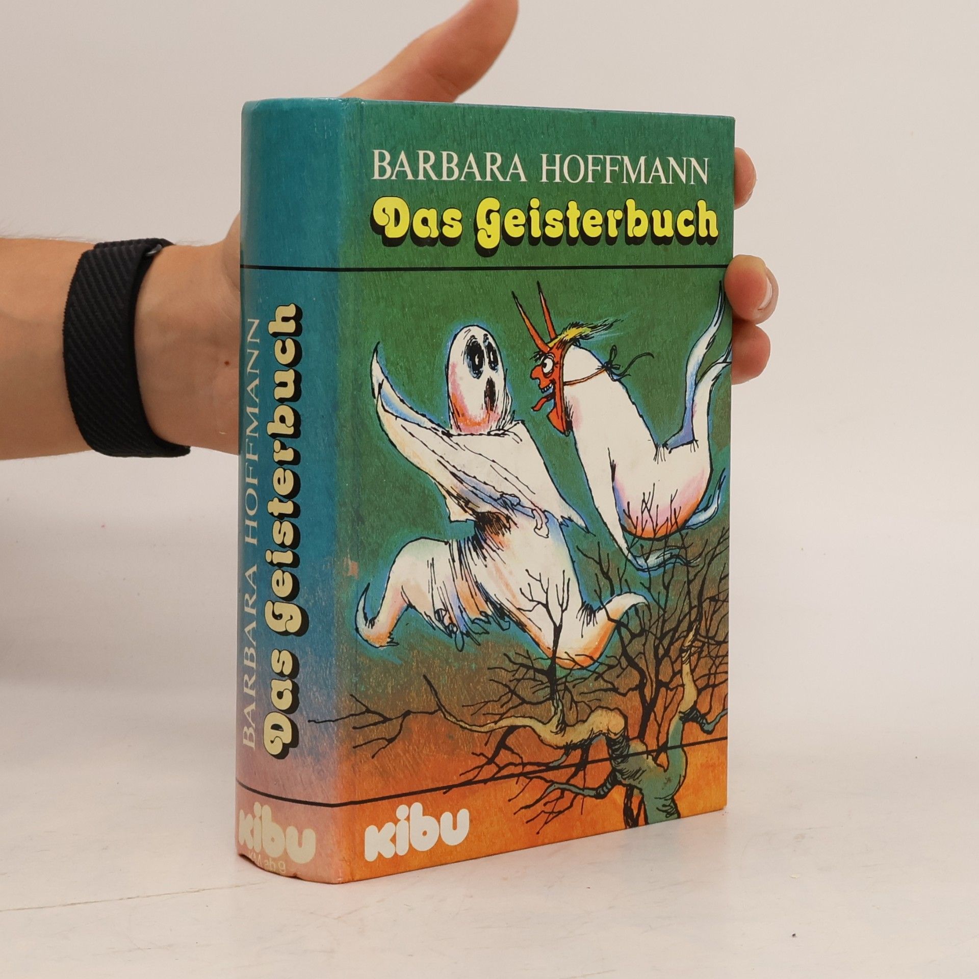 Barbara Hoffmann Das Geisterbuch