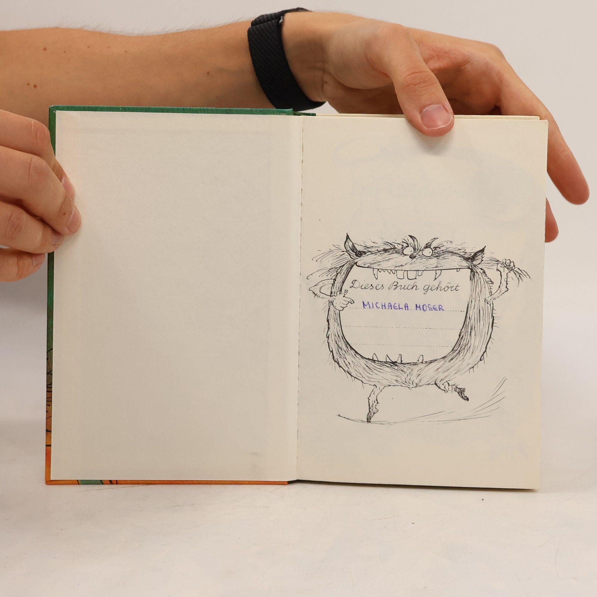 Barbara Hoffmann Das Geisterbuch