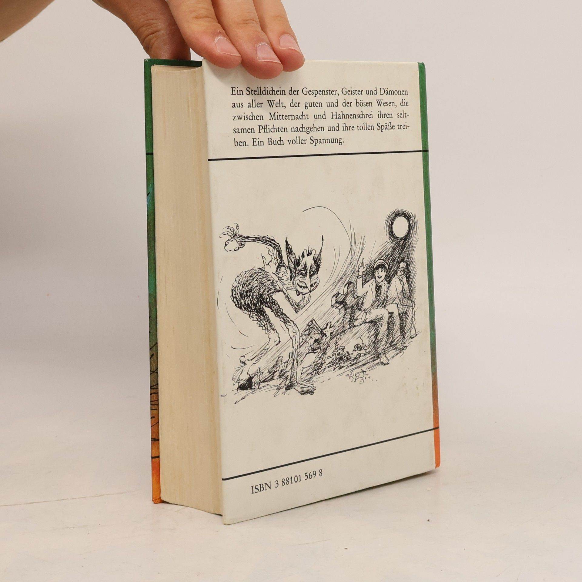 Barbara Hoffmann Das Geisterbuch